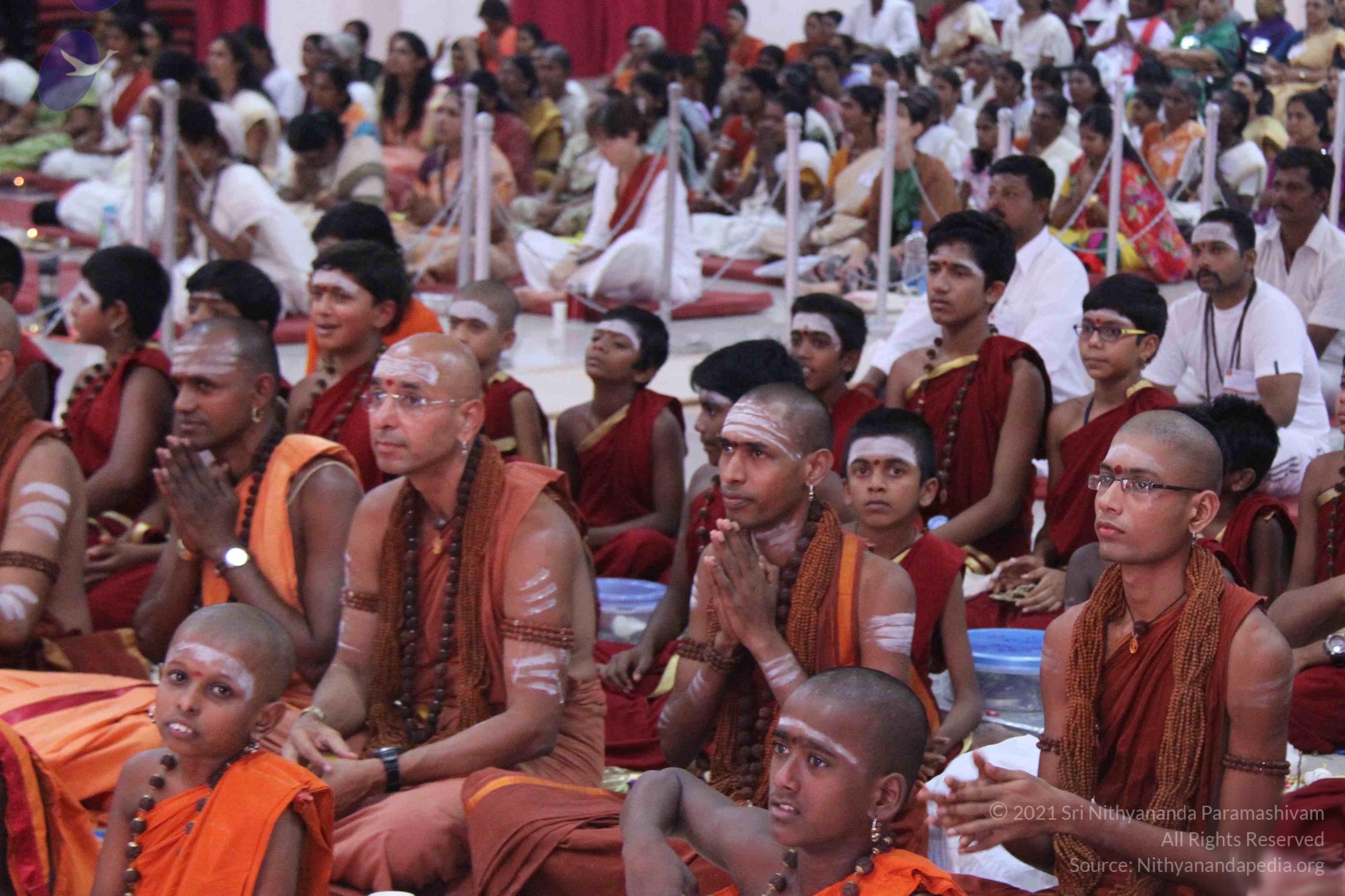 IMG_1345_CMP_WM done