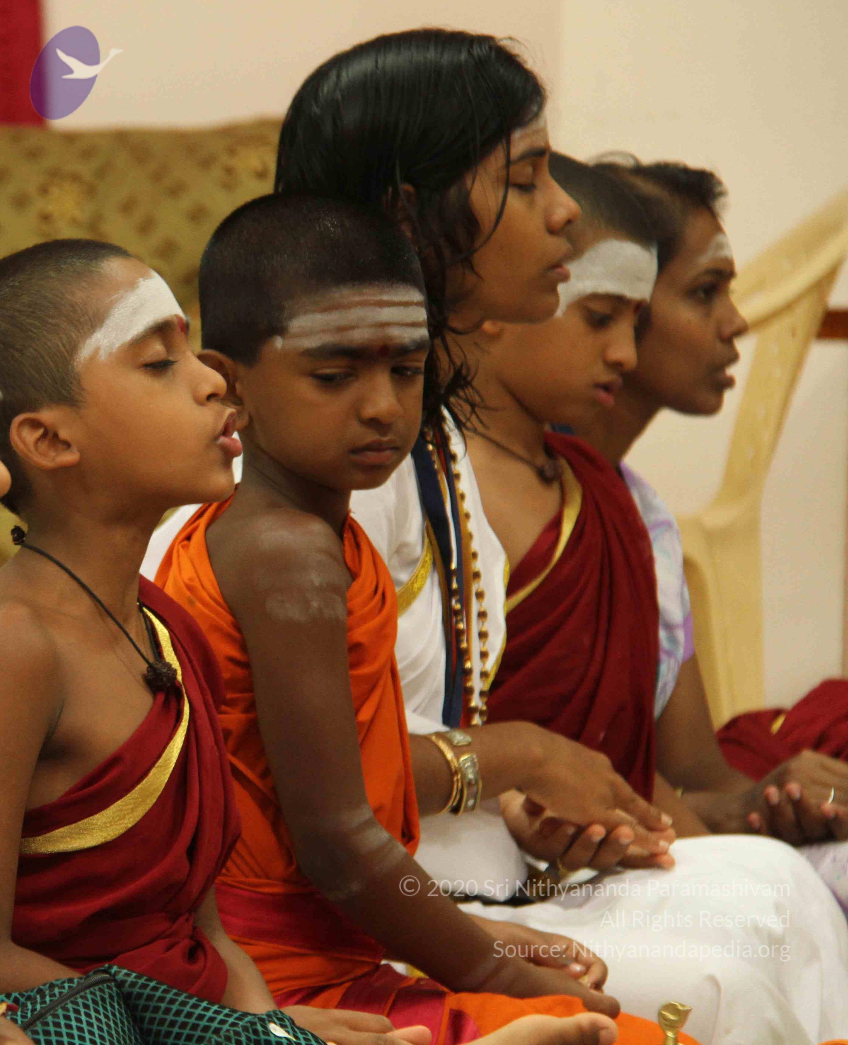 IMG_8586_CMP_WM done