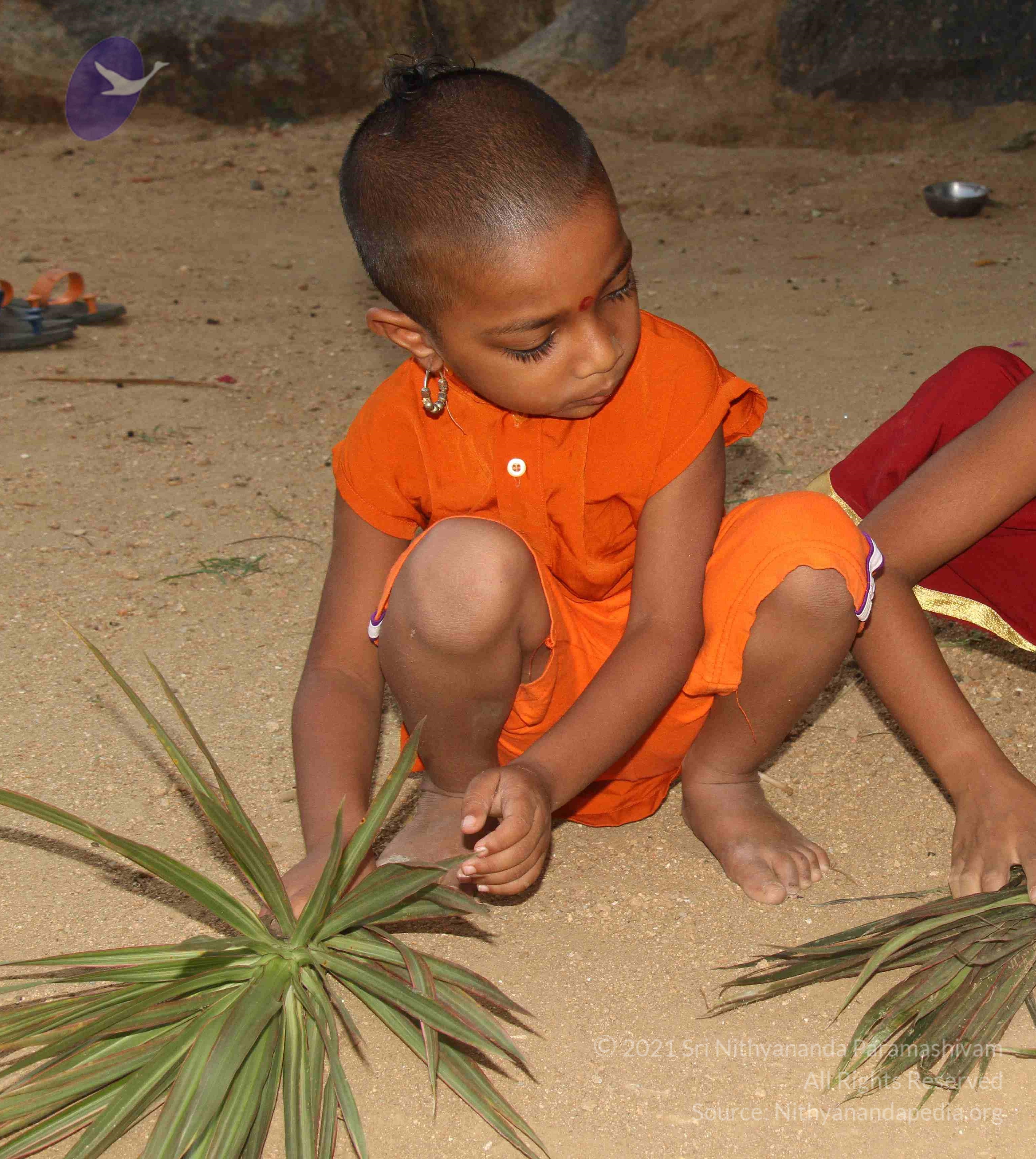 IMG_8900_CMP_WM done