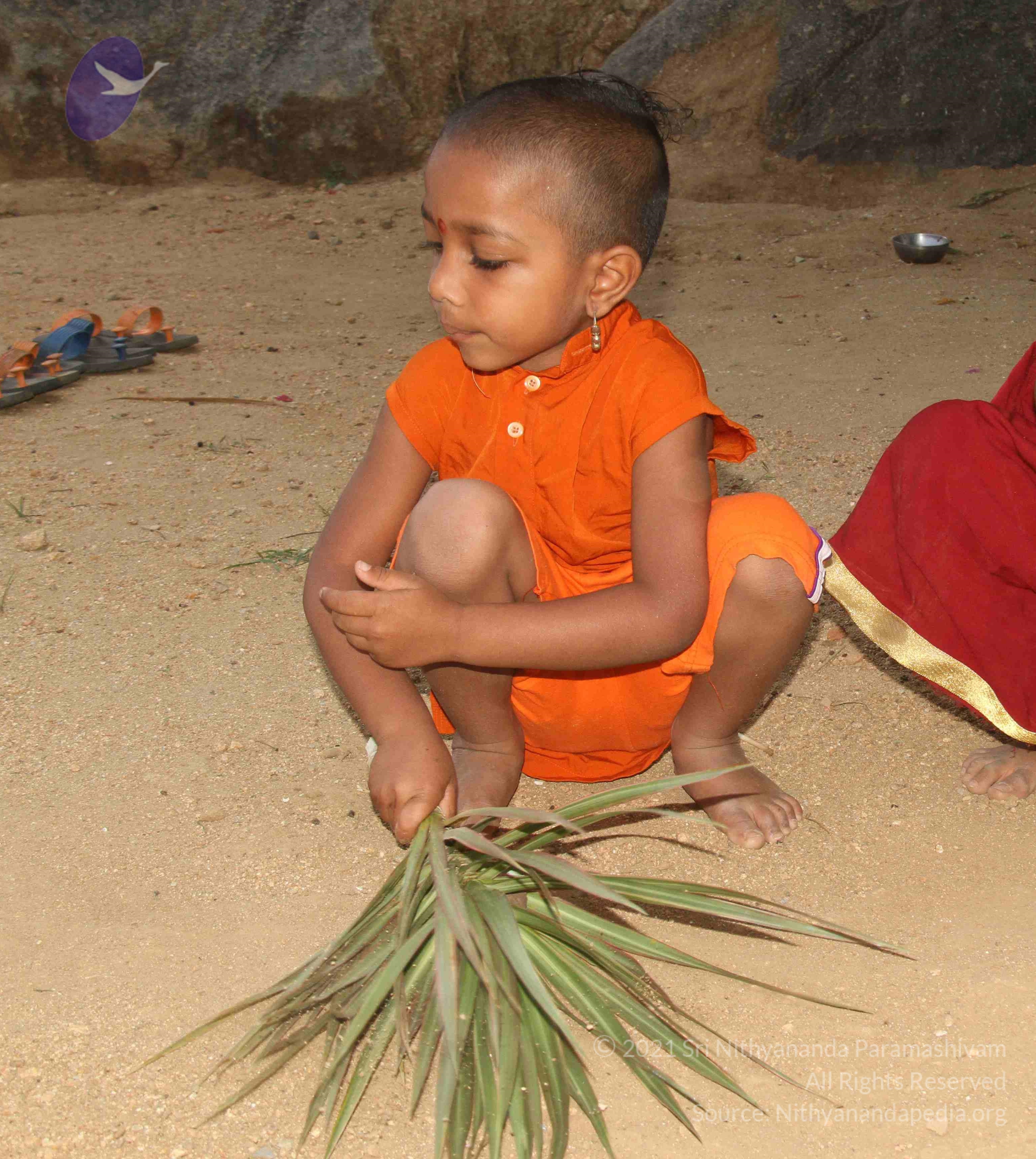 IMG_8901_CMP_WM done