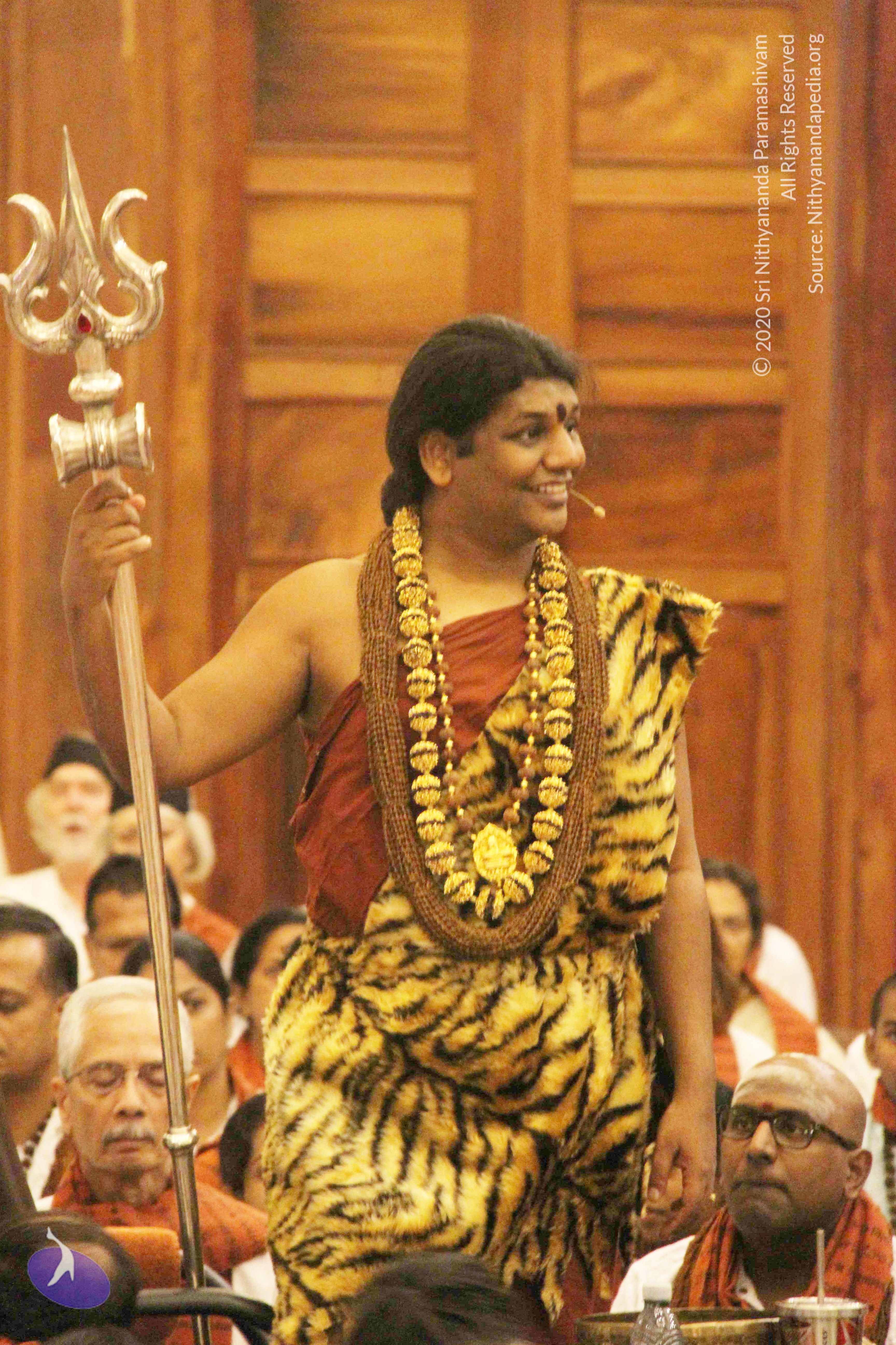 20141214_Photo_1004_IMG_4163_CMP_WM