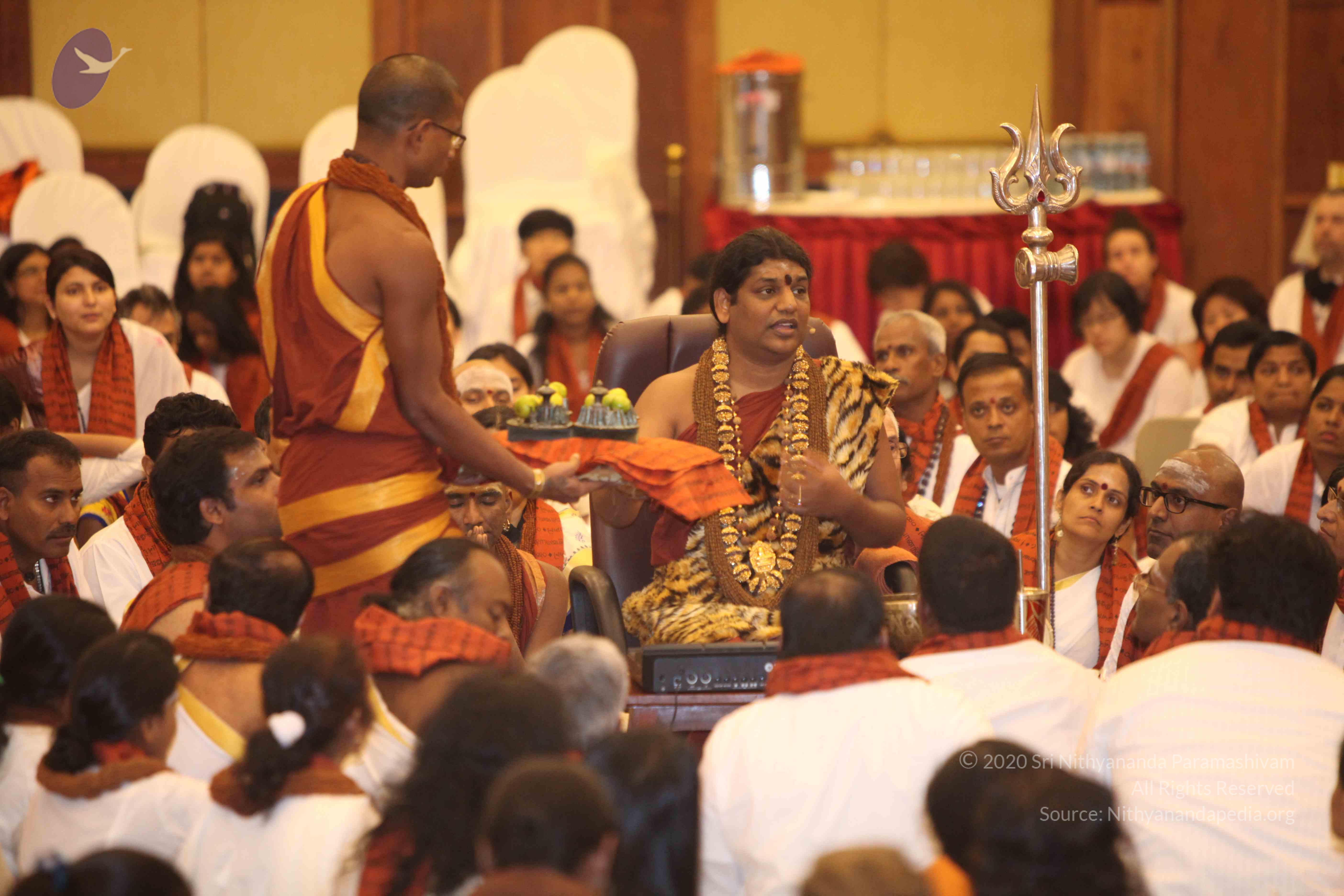 20141214_Photo_1007_IMG_4098a_CMP_WM