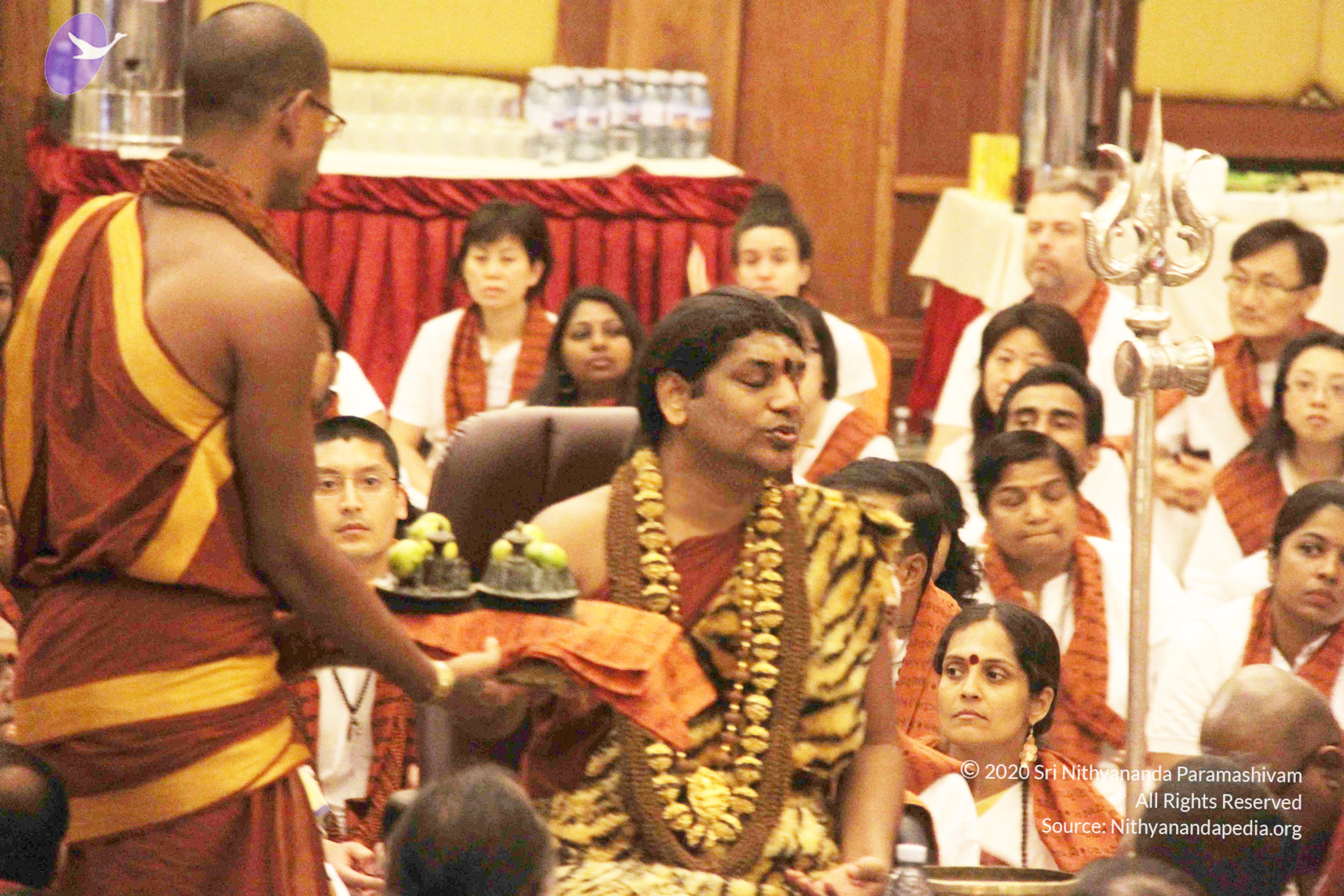 20141214_Photo_1008_IMG_4094_CMP_WM