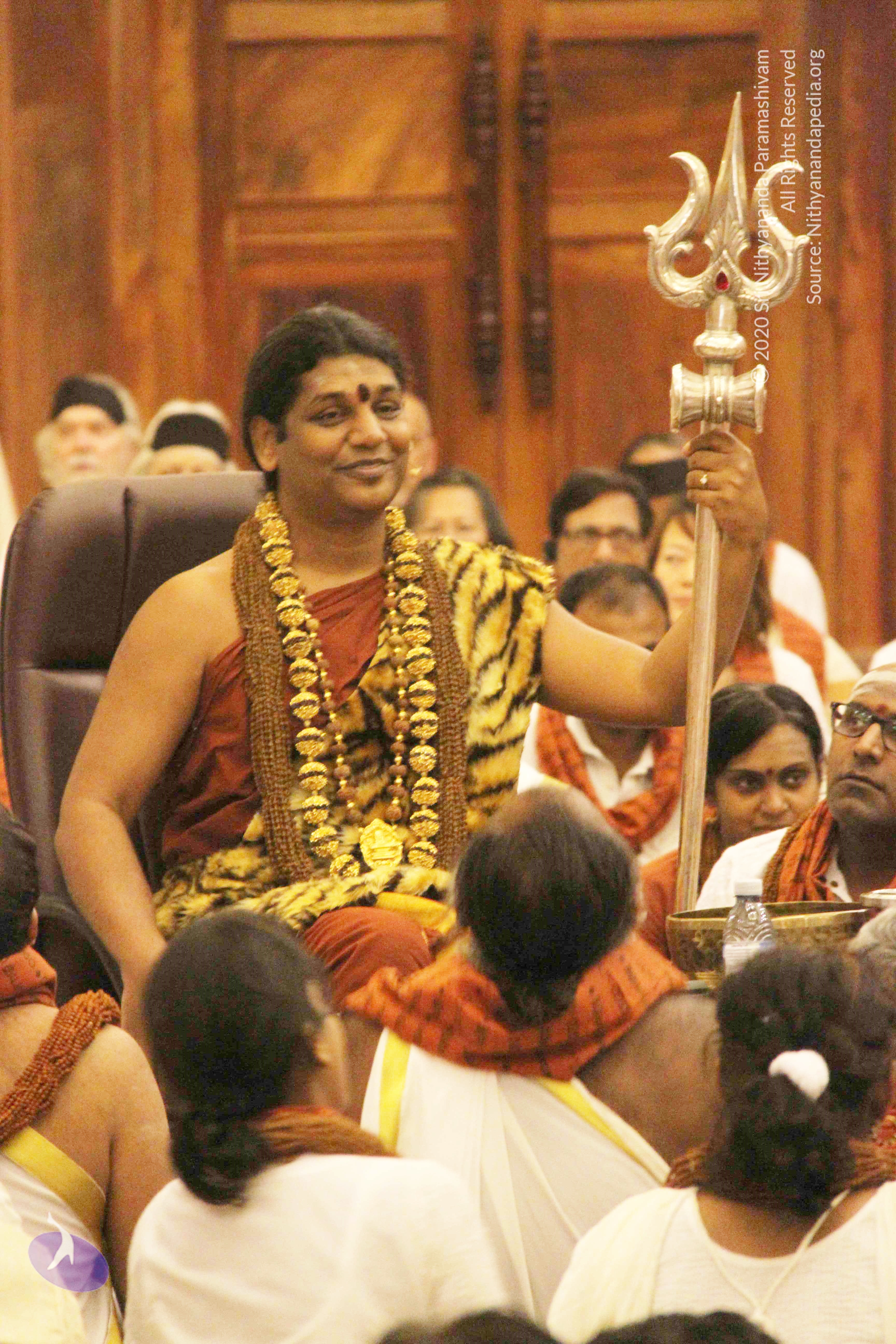 20141214_Photo_1027_IMG_4127_CMP_WM