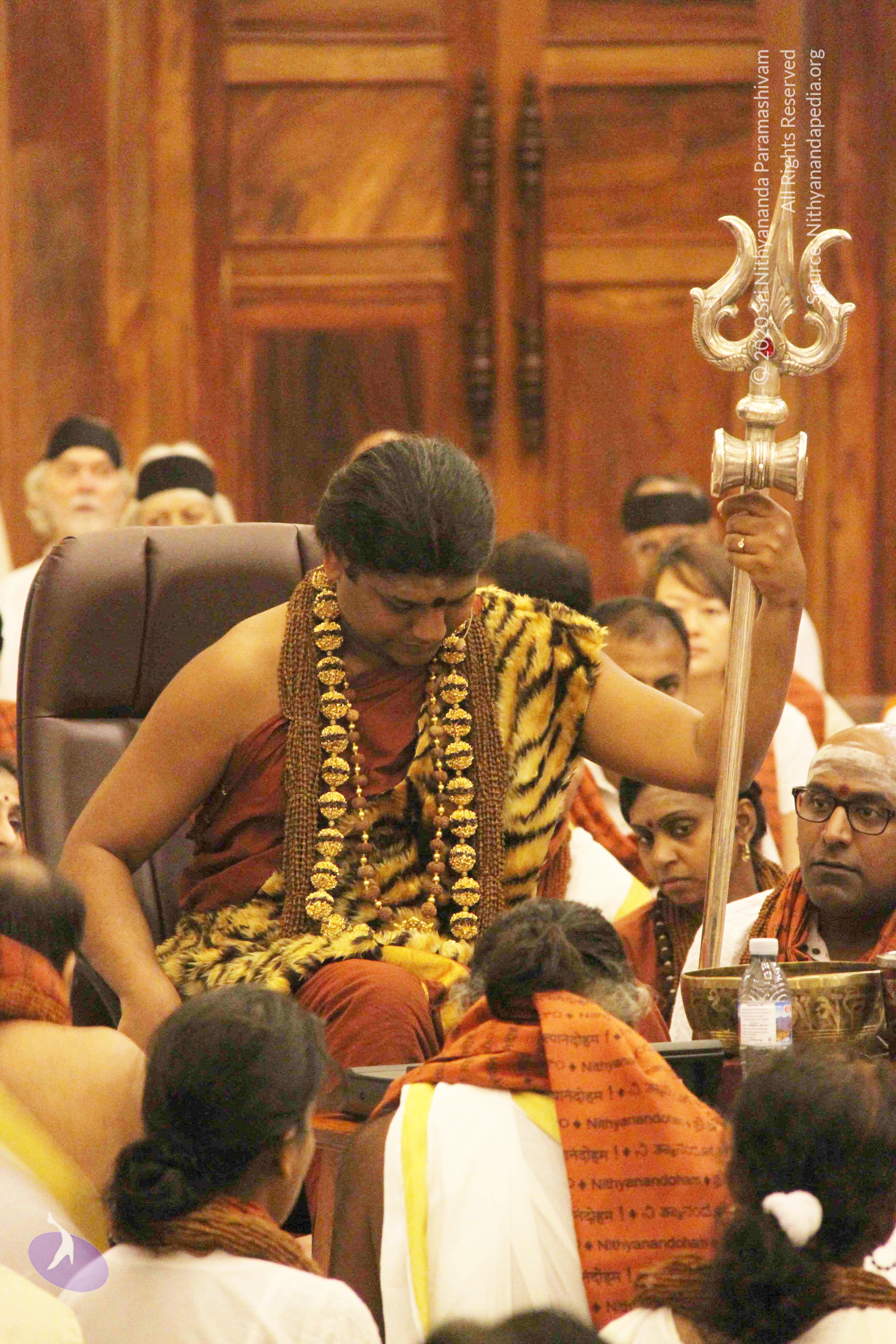 20141214_Photo_1028_IMG_4110_CMP_WM