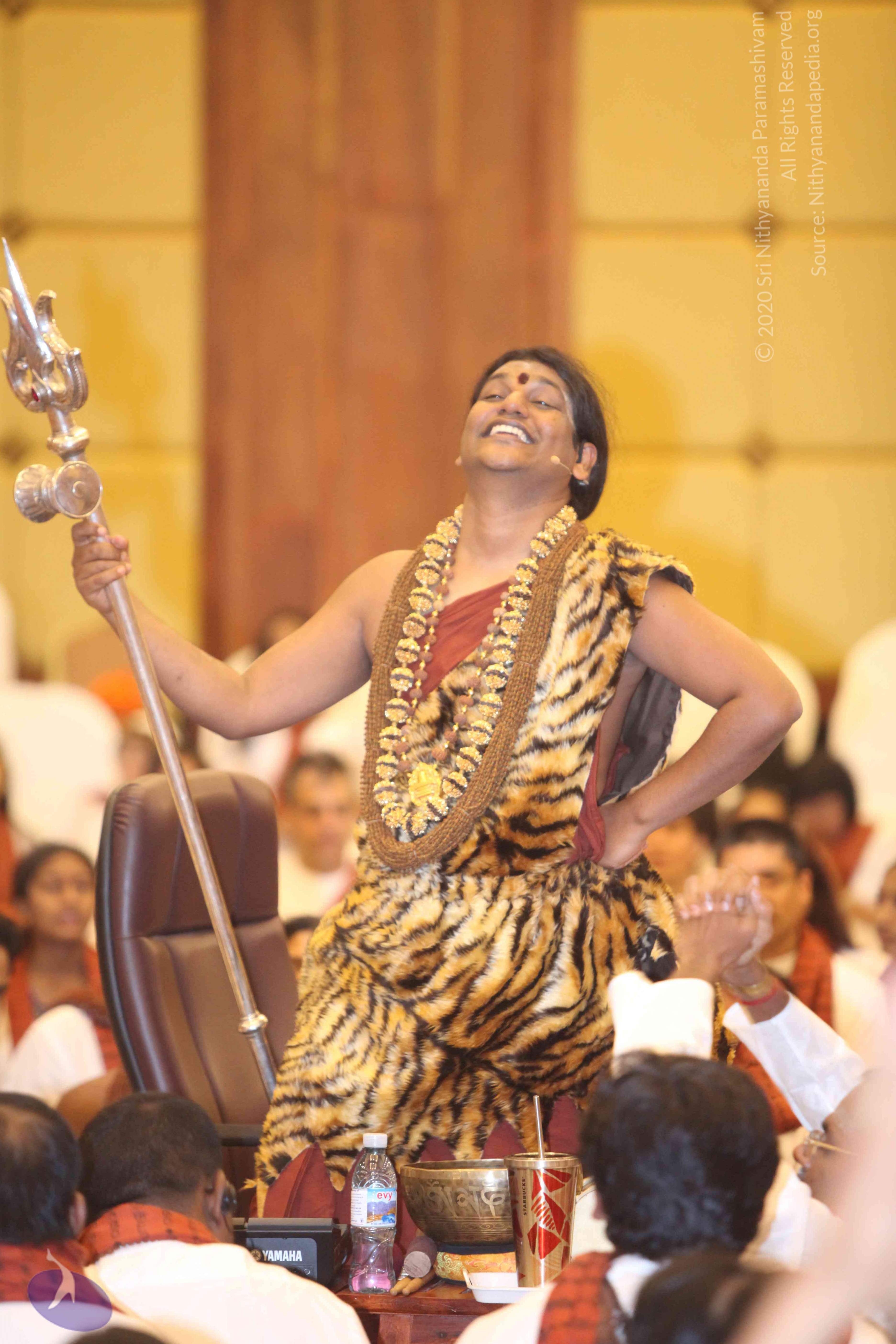 20141214_Photo_1032_IMG_4241e_CMP_WM