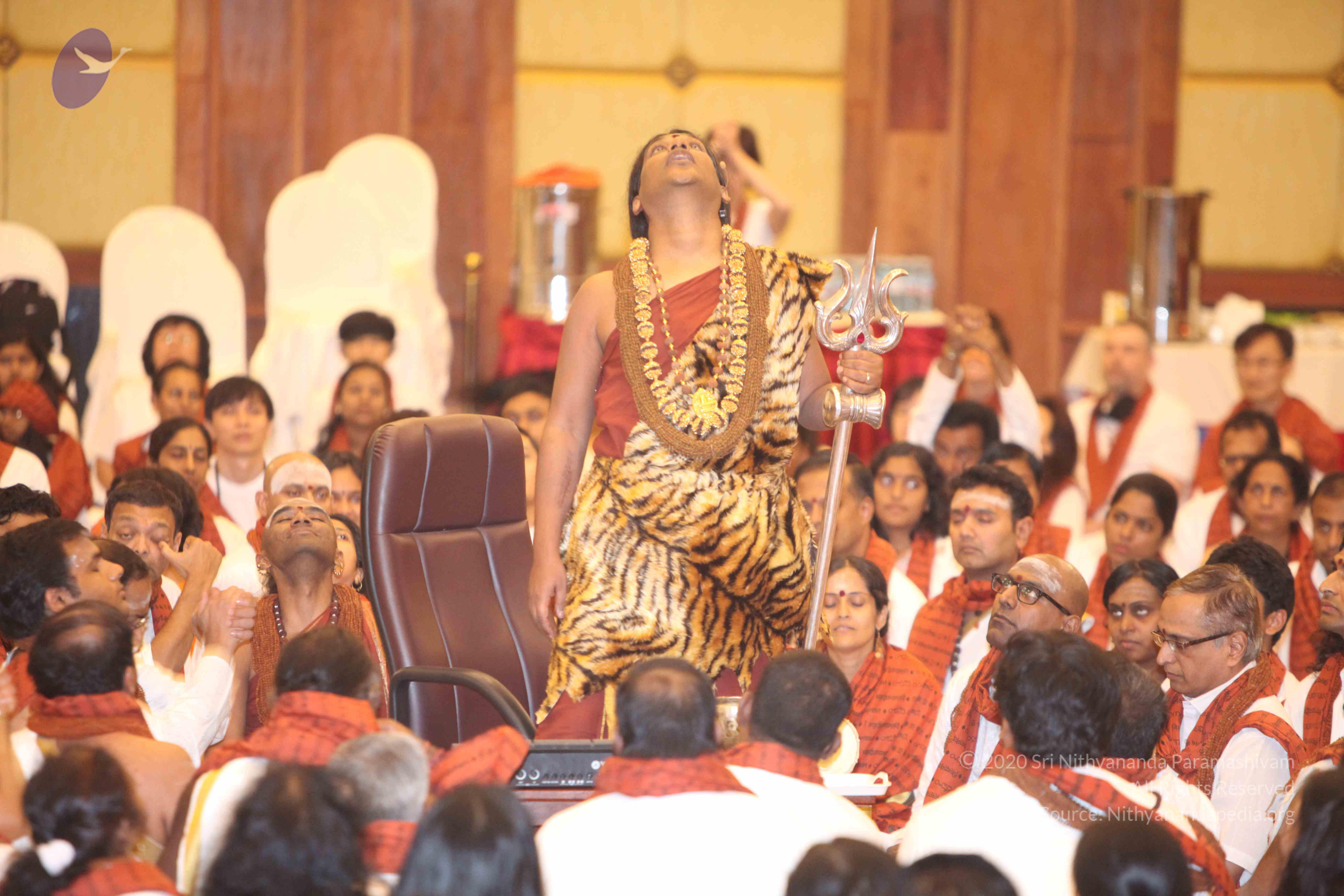 20141214_Photo_1041_IMG_4149a_CMP_WM