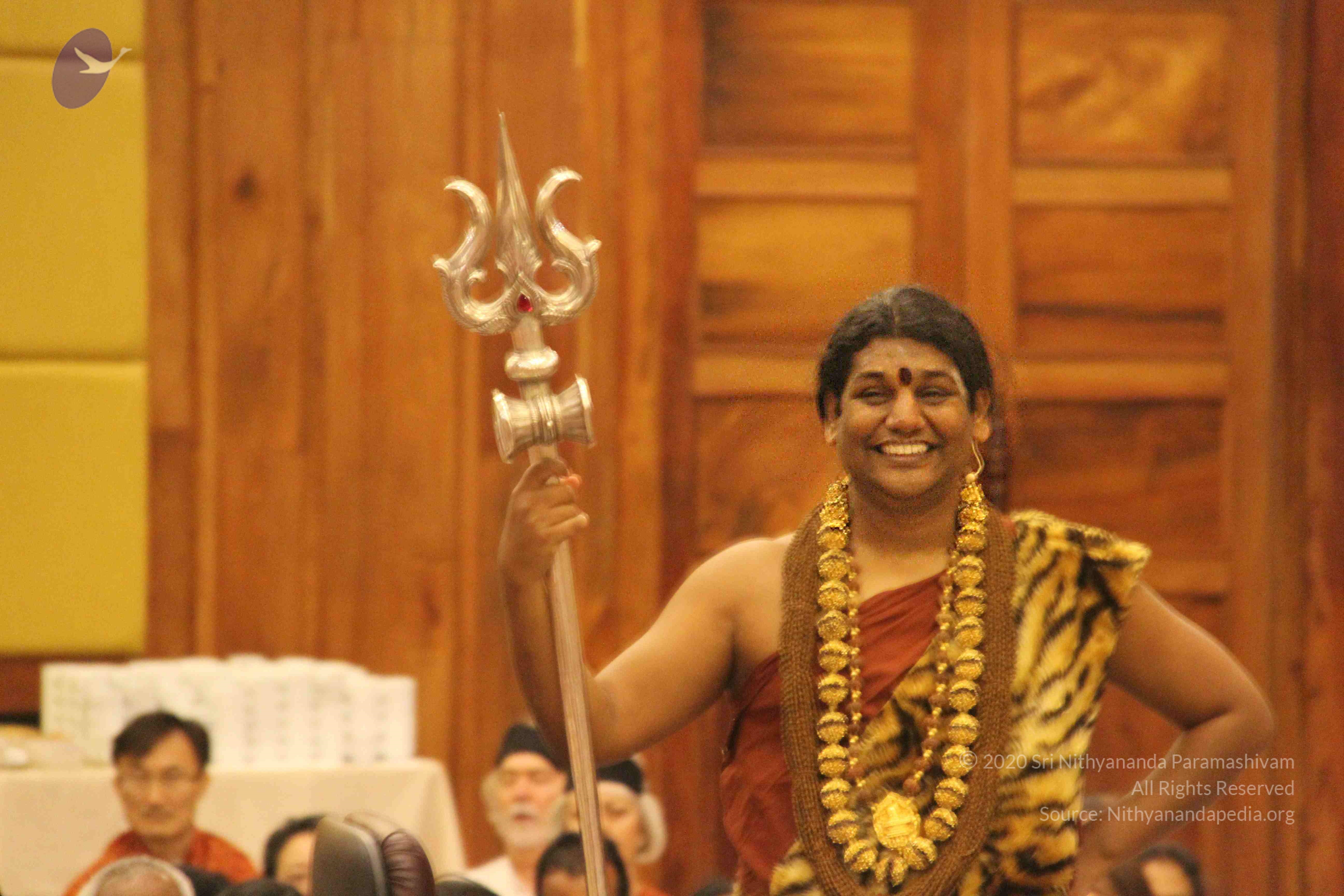 20141214_Photo_1047_IMG_4165_CMP_WM