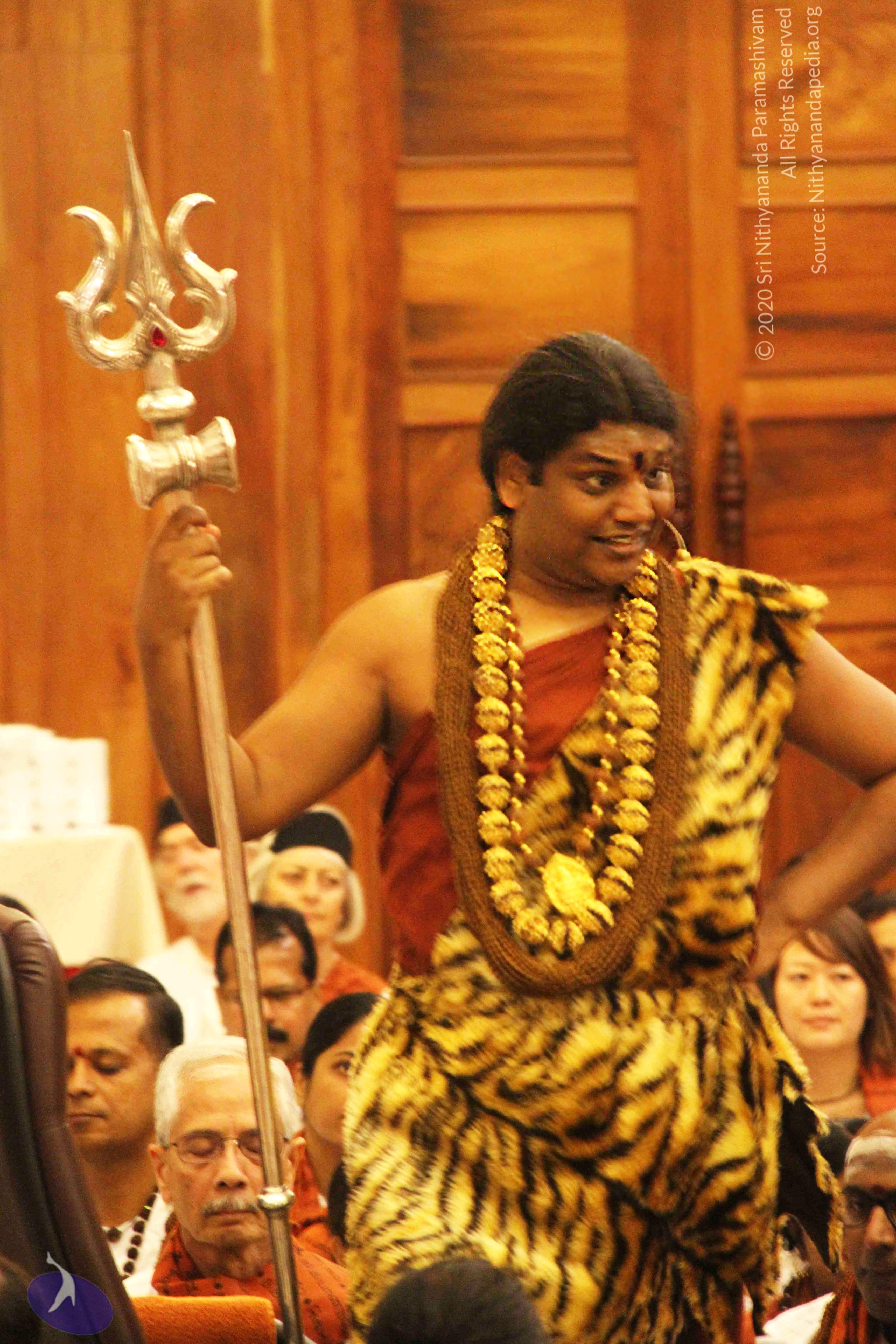 20141214_Photo_1050_IMG_4166_CMP_WM