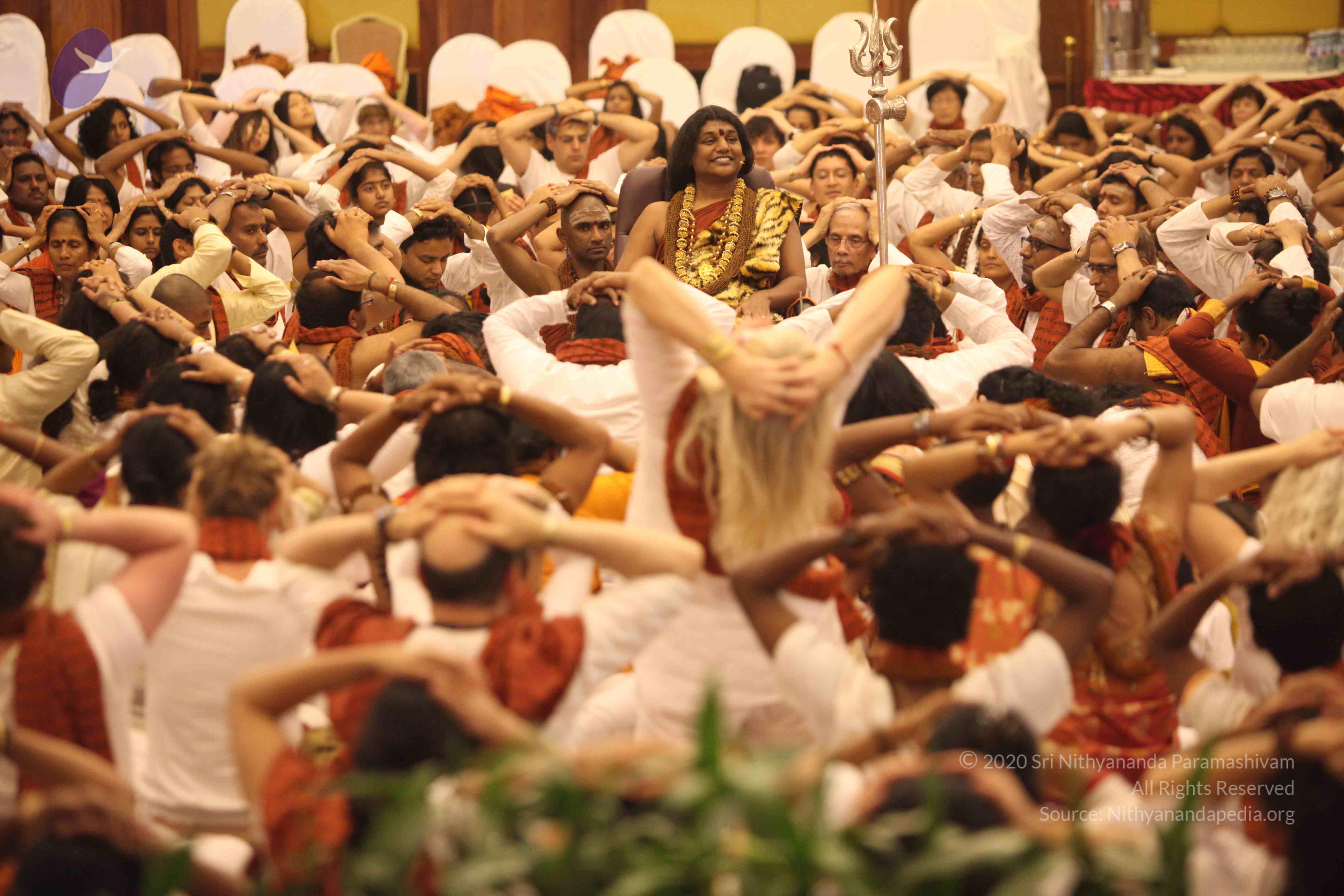 20141214_Photo_1052_IMG_4592_CMP_WM