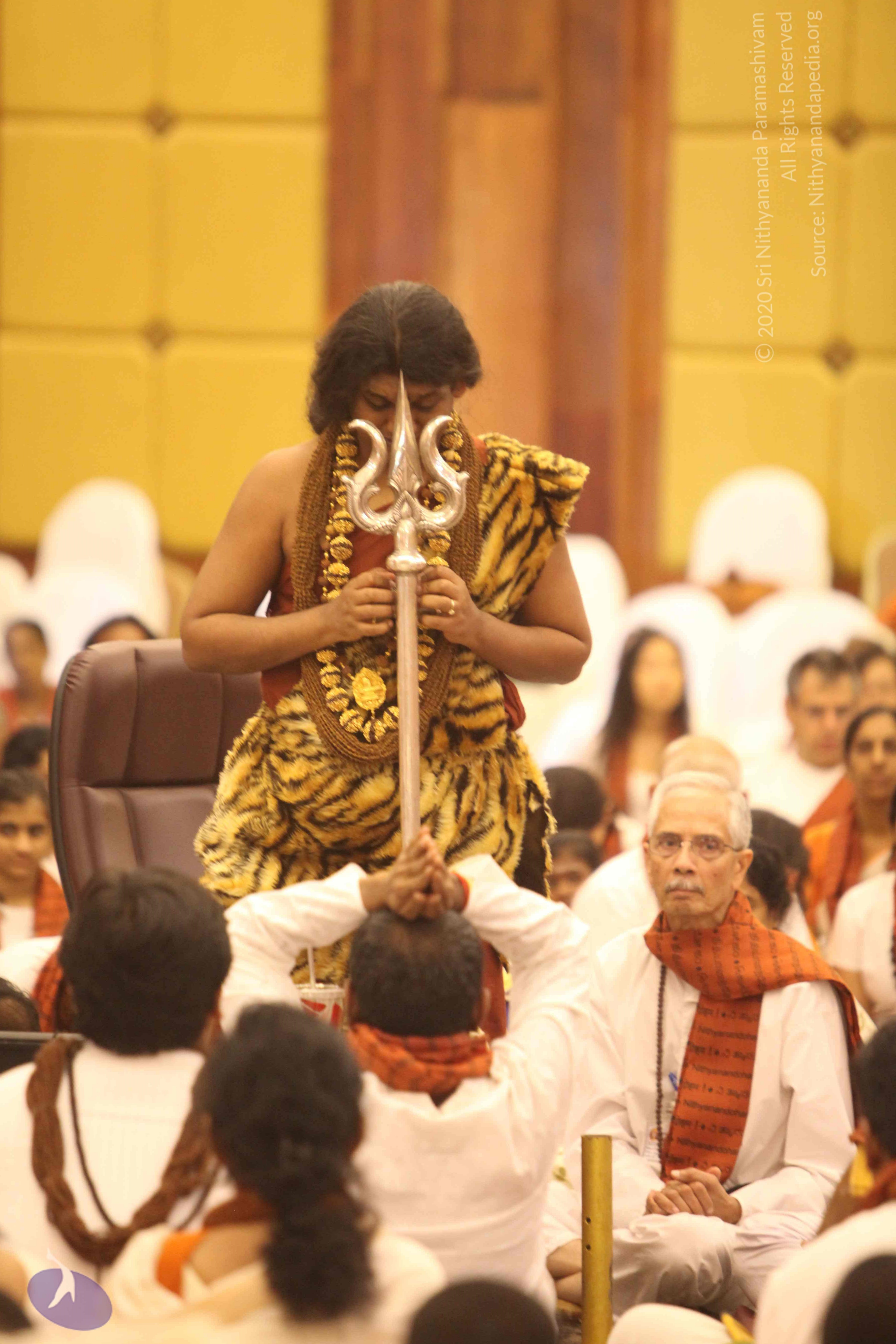 20141214_Photo_1066_IMG_4242v_CMP_WM