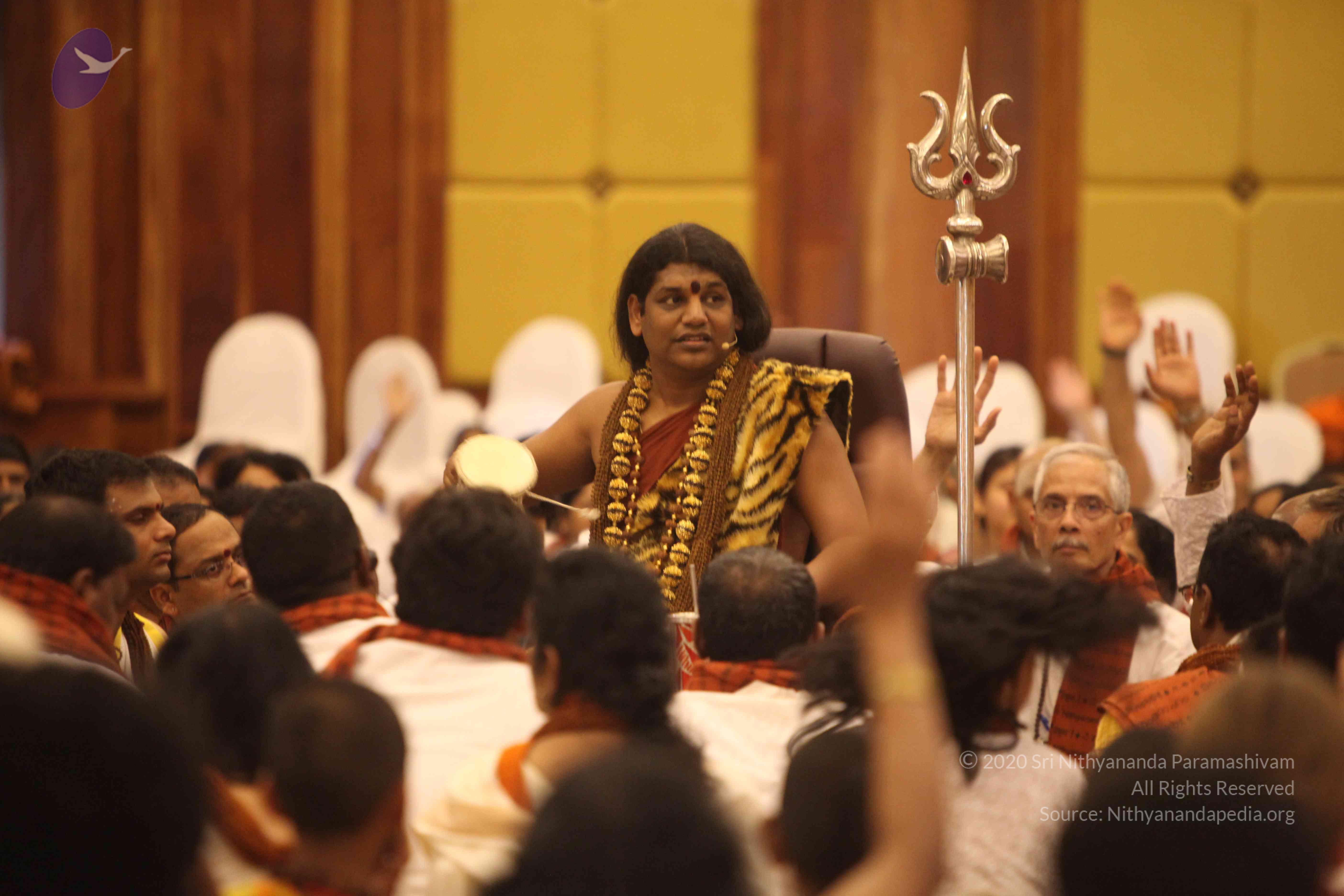 20141214_Photo_1067_IMG_4595_CMP_WM