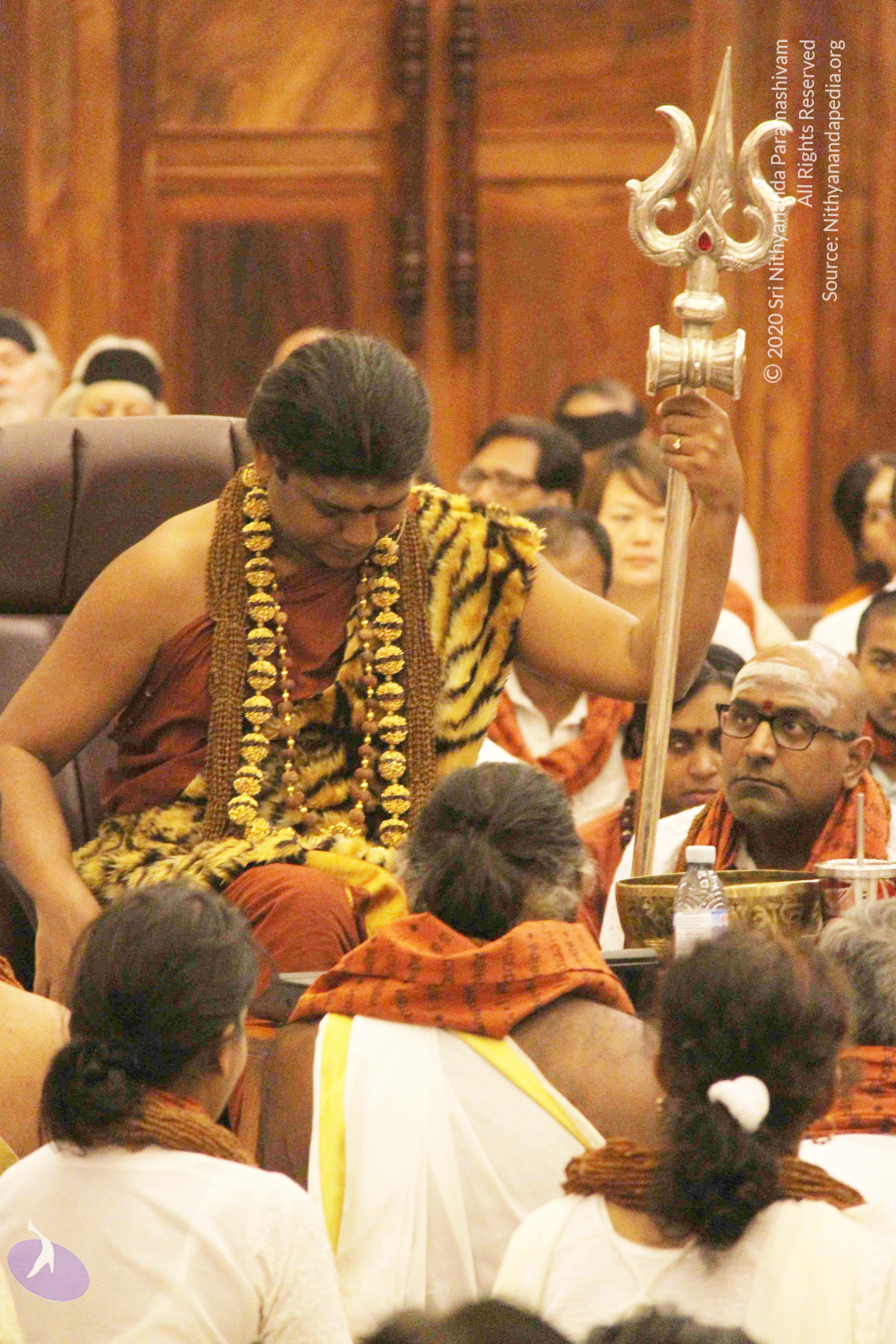 20141214_Photo_1078_IMG_4112_CMP_WM