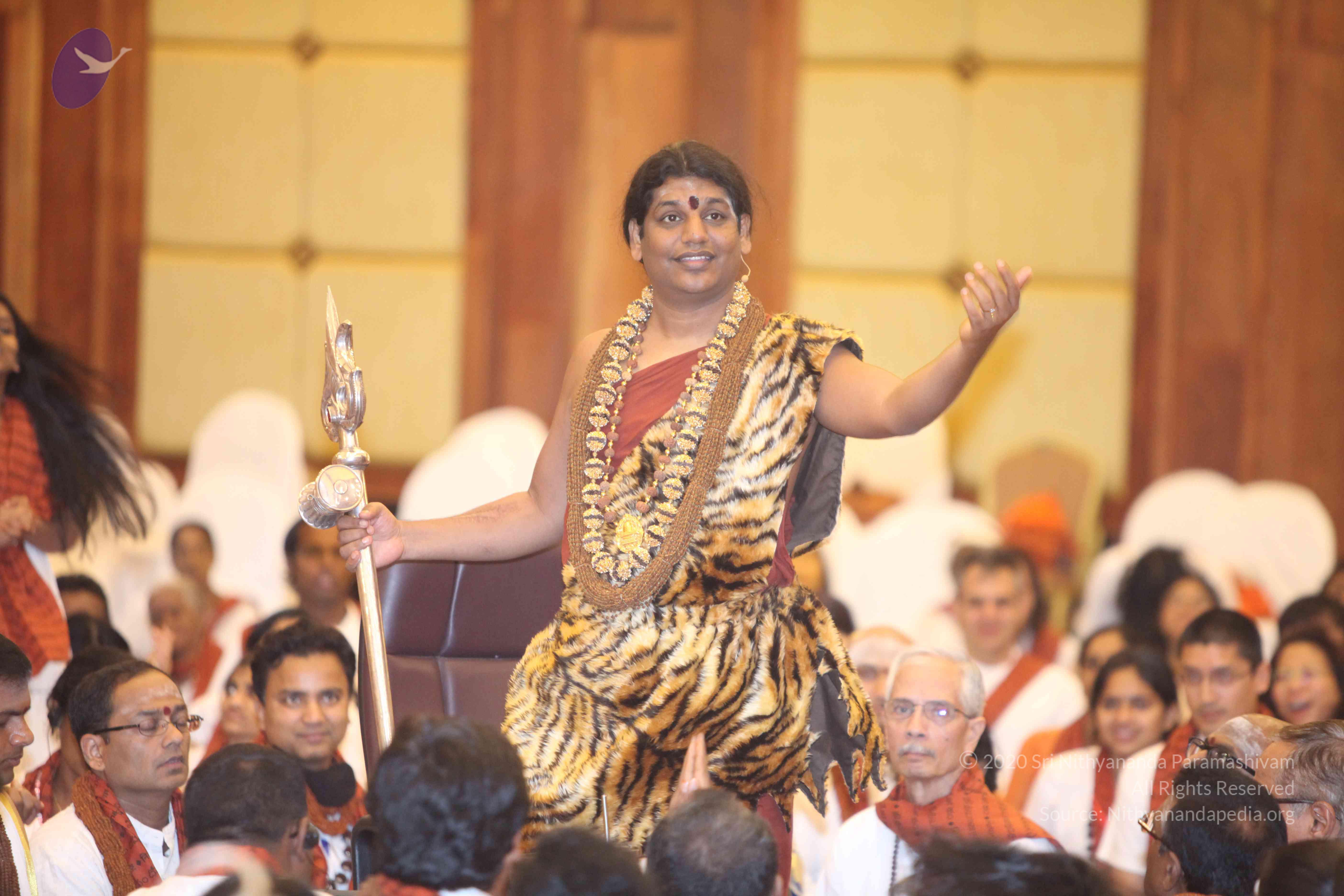 20141214_Photo_1086_IMG_4241b_CMP_WM