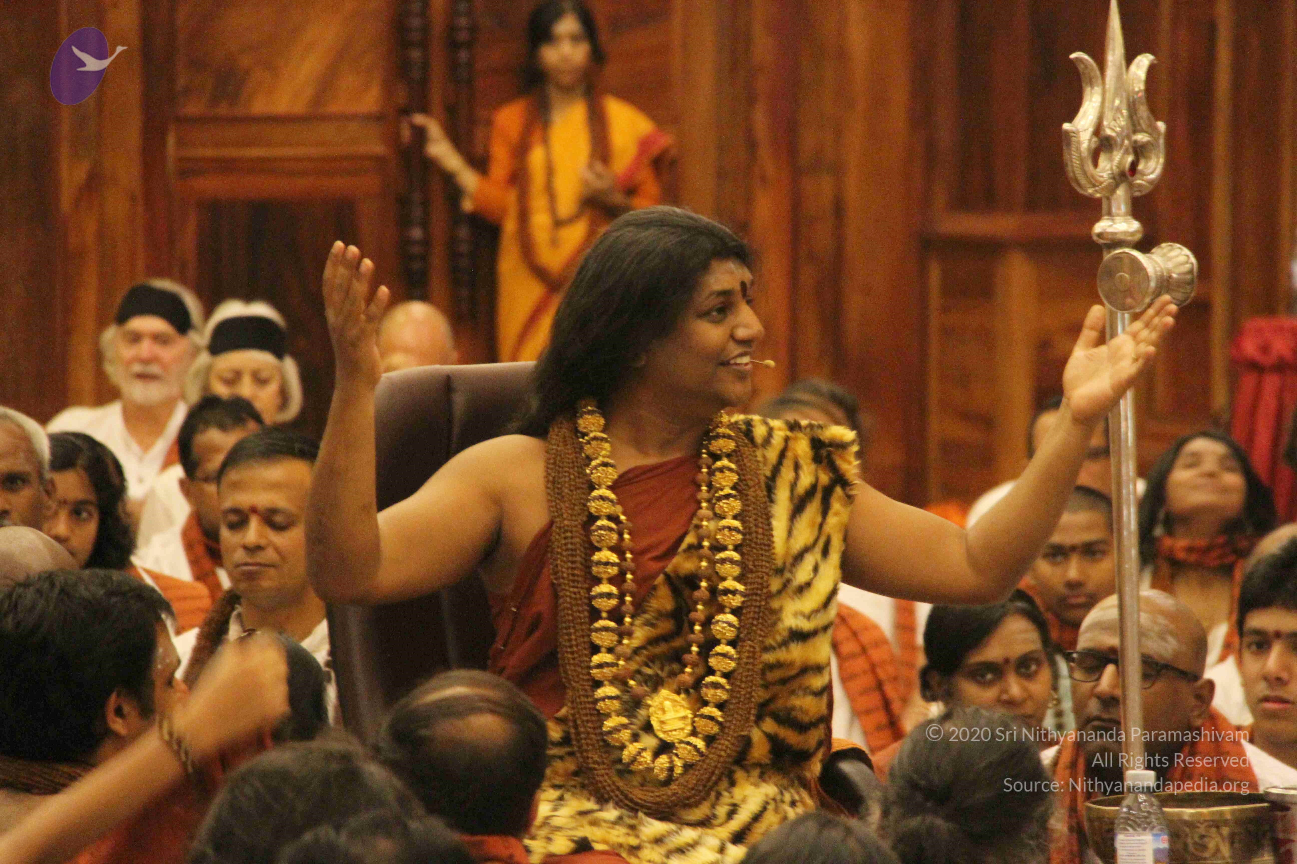 20141214_Photo_1098_IMG_4249_CMP_WM