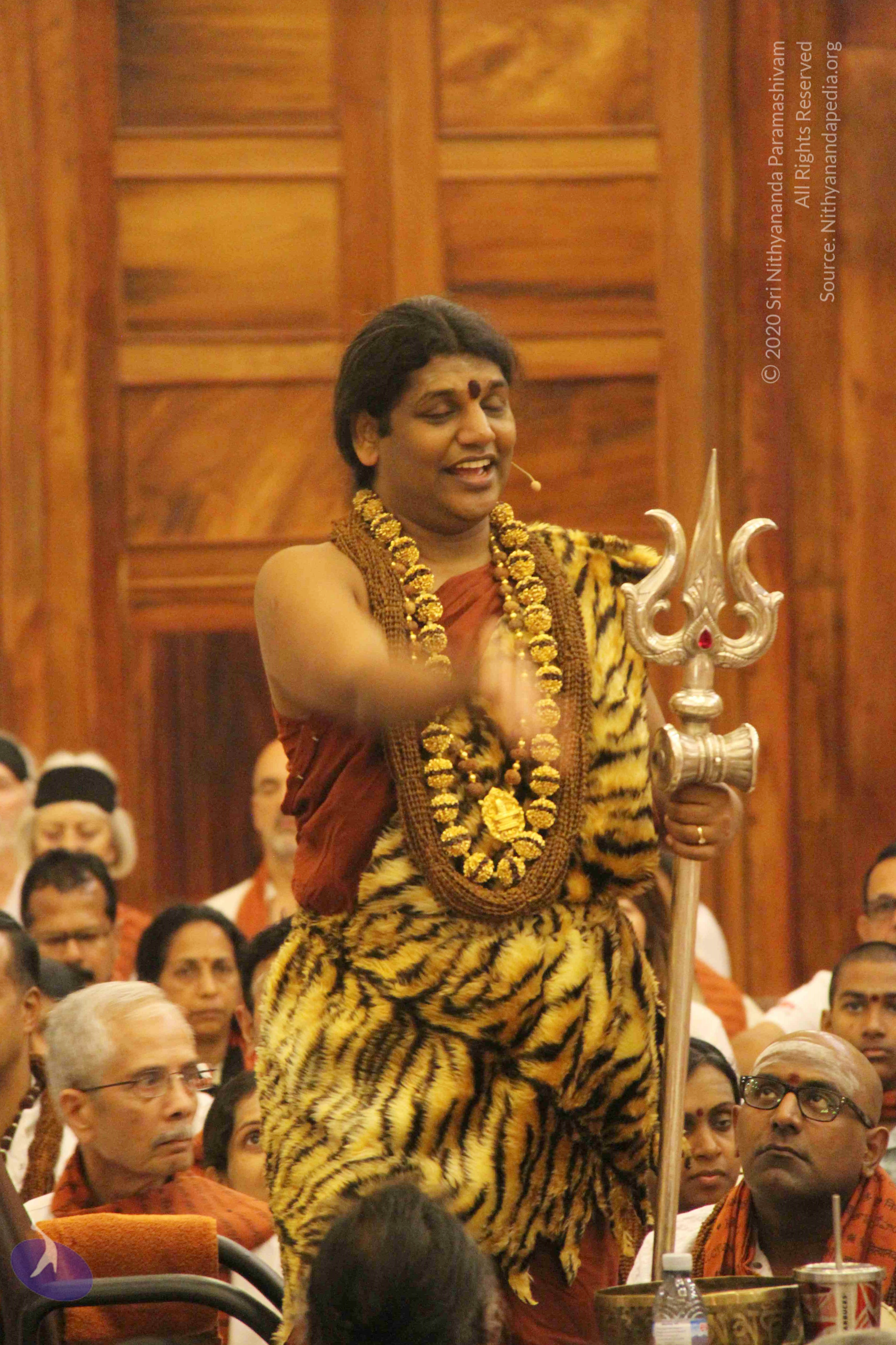 20141214_Photo_1100_IMG_4196_CMP_WM