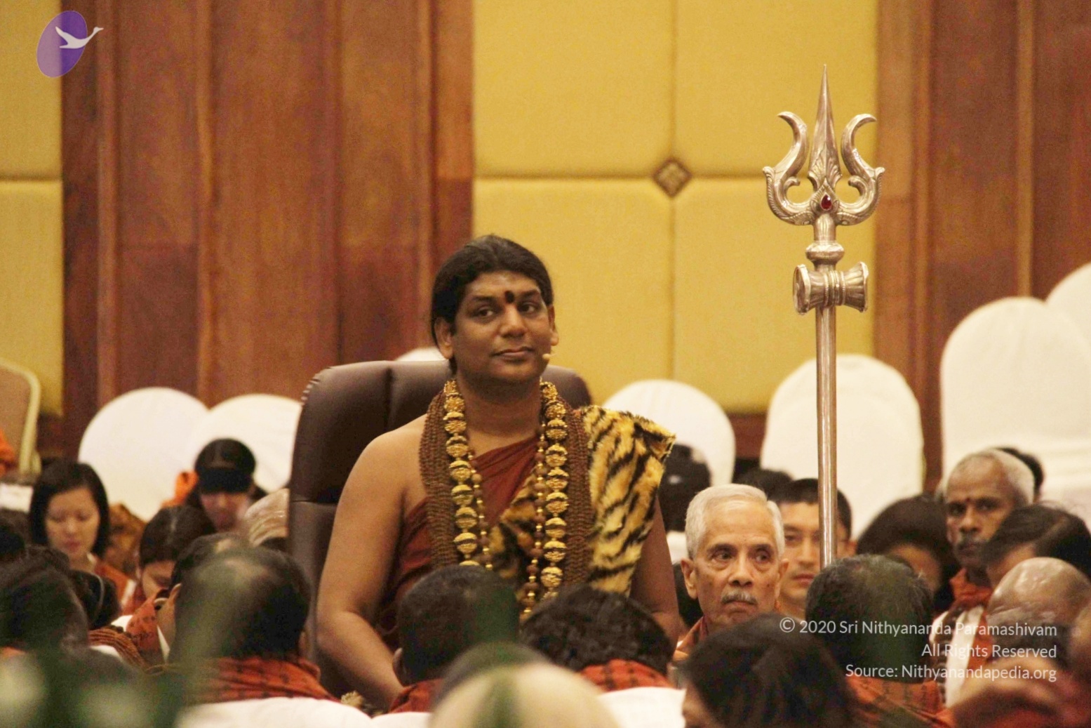 20141214_Photo_1116_IMG_4106_CMP_WM