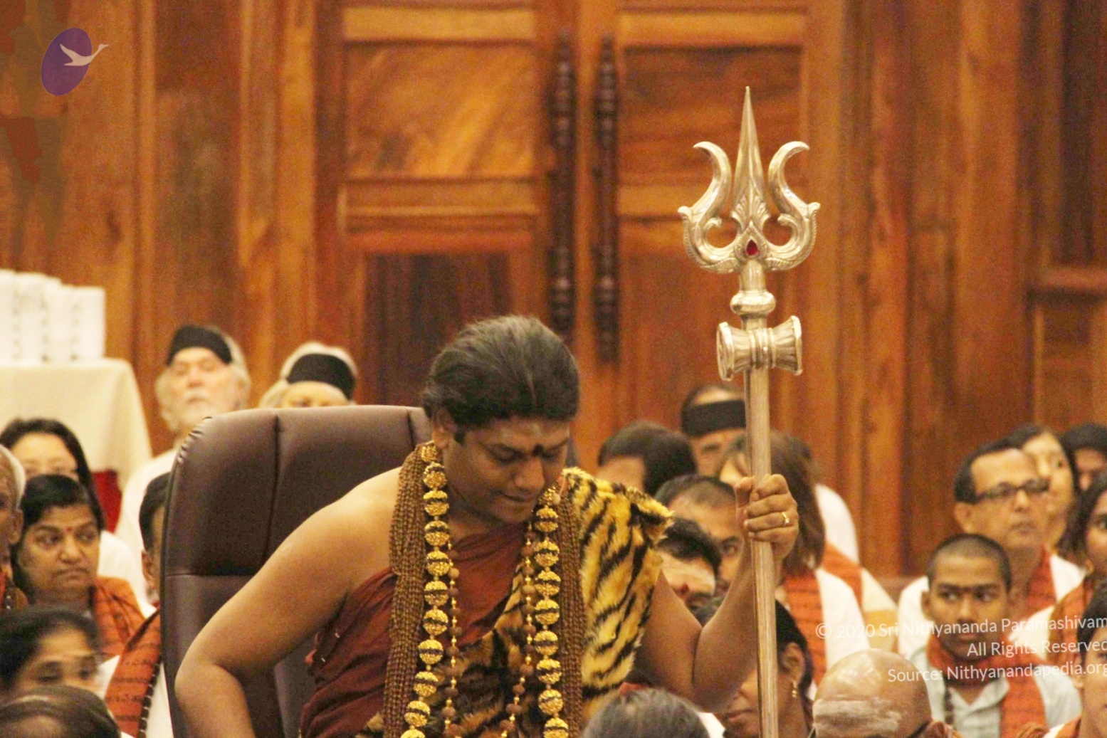 20141214_Photo_1126_IMG_4108_CMP_WM