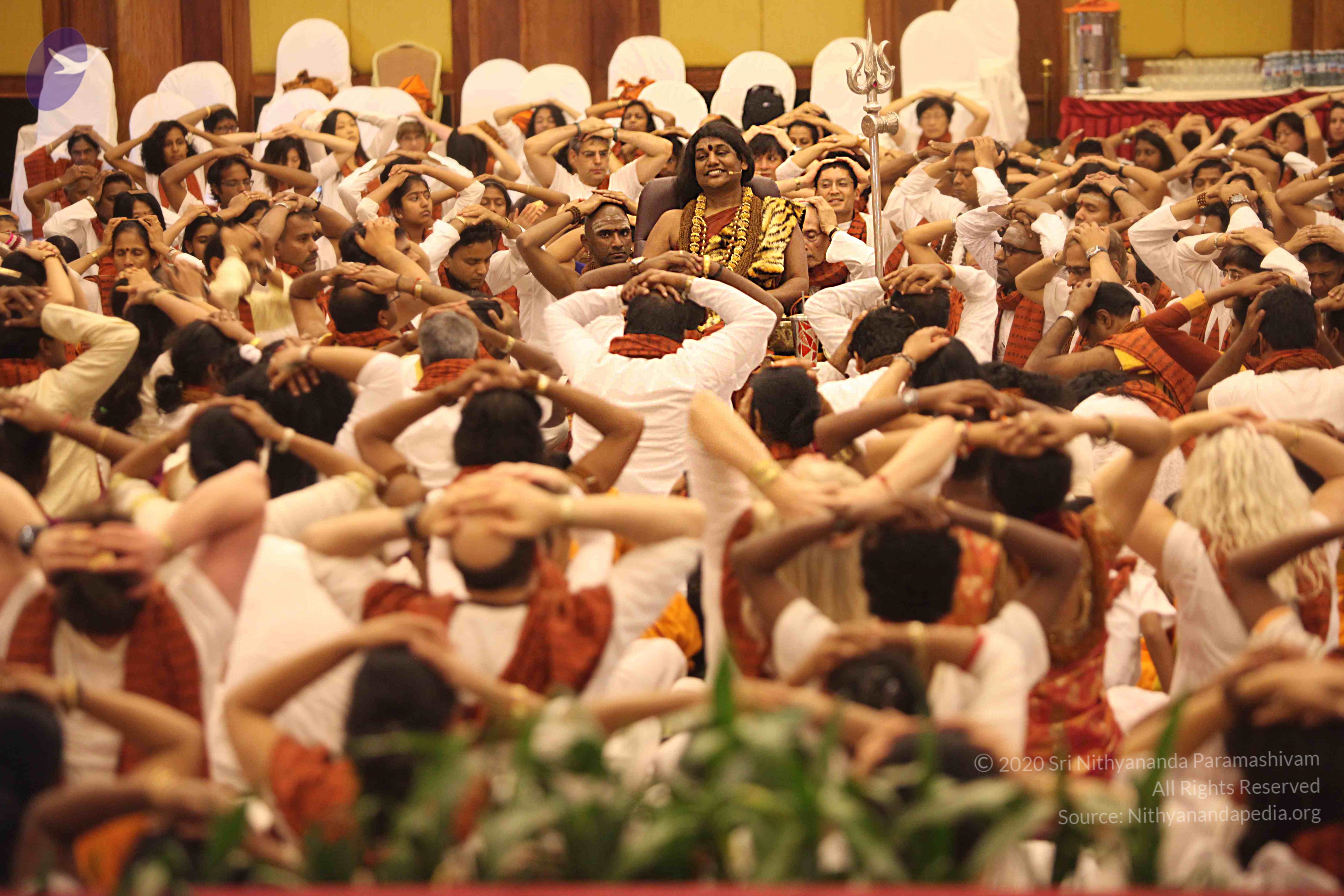 20141214_Photo_1136_IMG_4593_CMP_WM