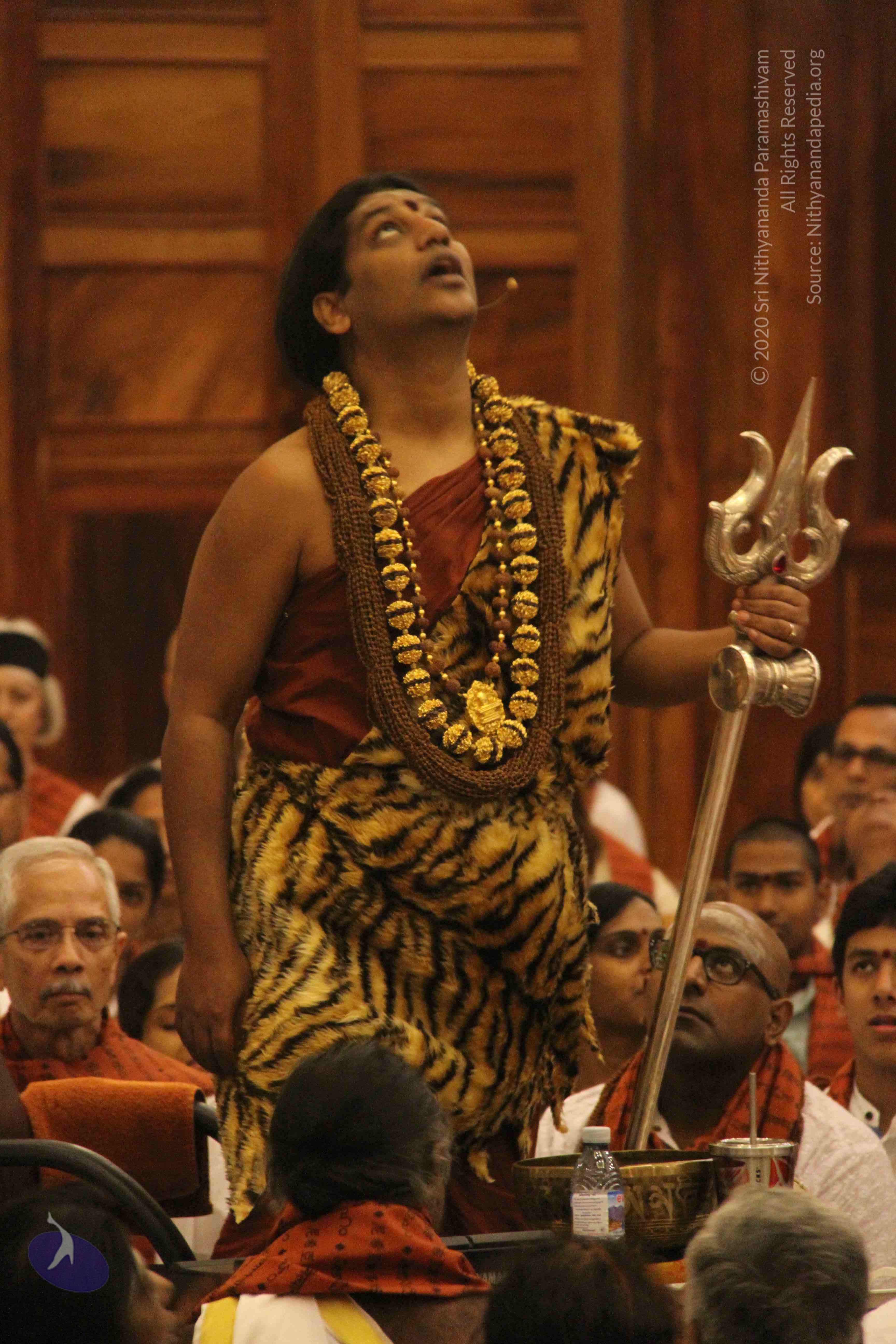 20141214_Photo_1141_IMG_4150_CMP_WM