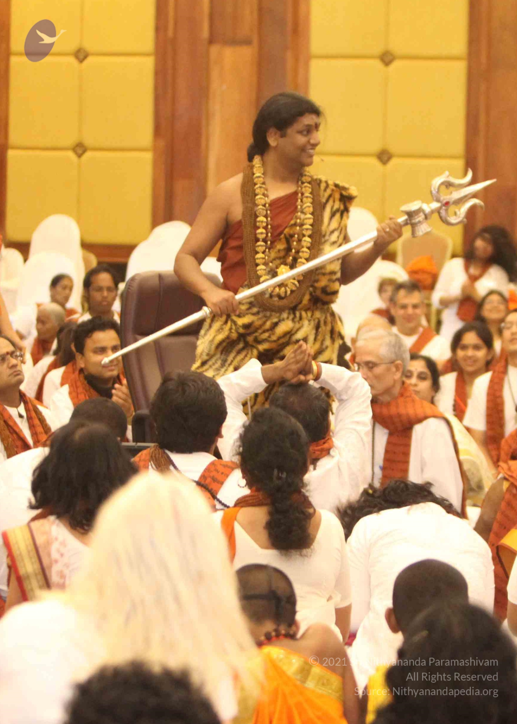 20141214_Photo_1147_IMG_4241w_CMP_WM