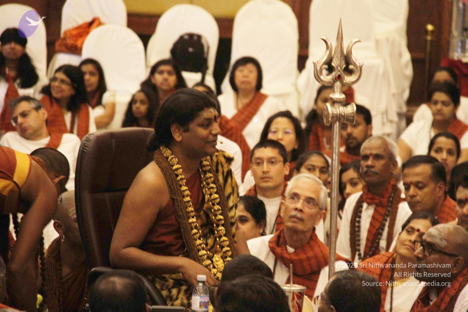 20141214_Photo_1148_IMG_4100_CMP_WM