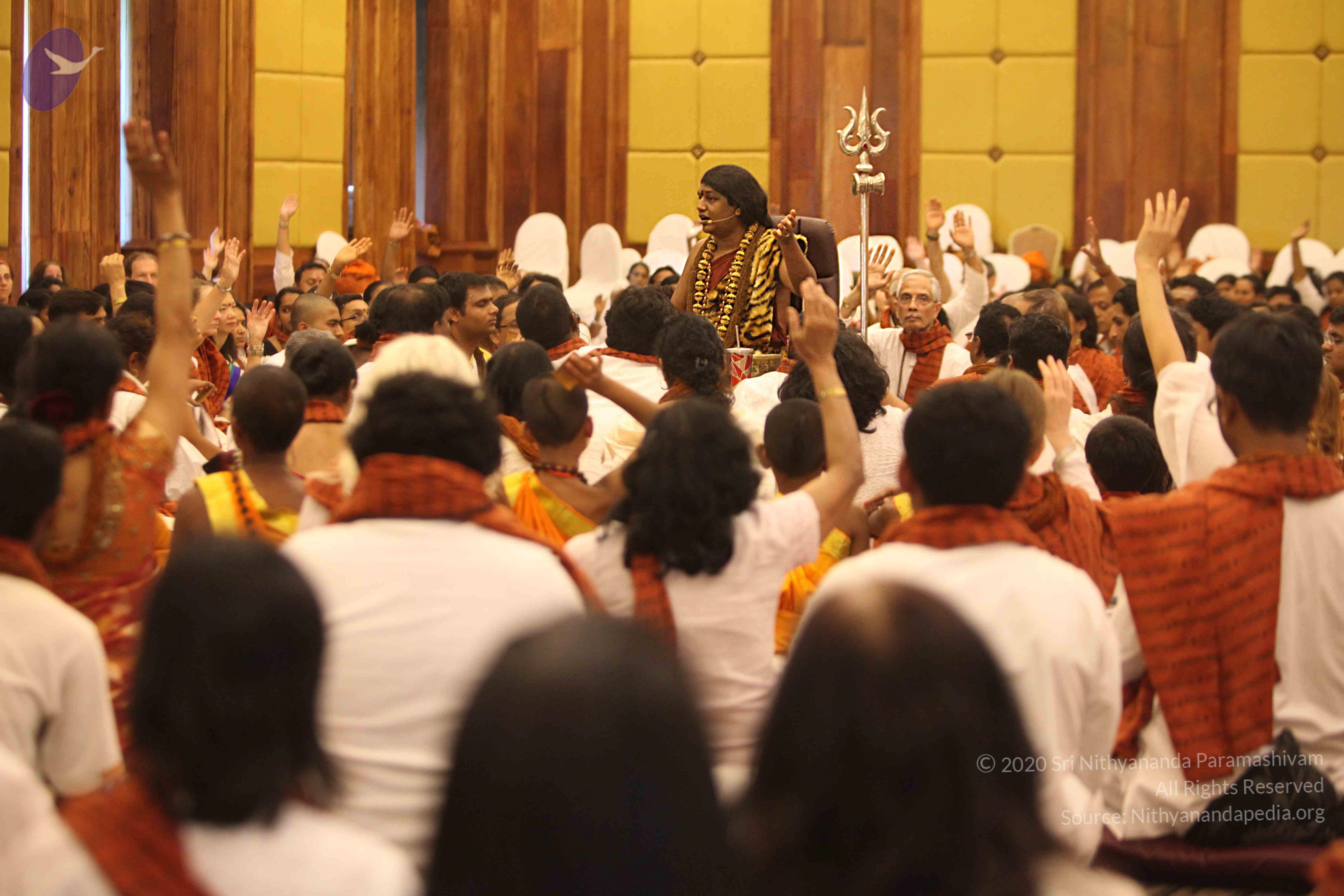 20141214_Photo_1152_IMG_4596_CMP_WM