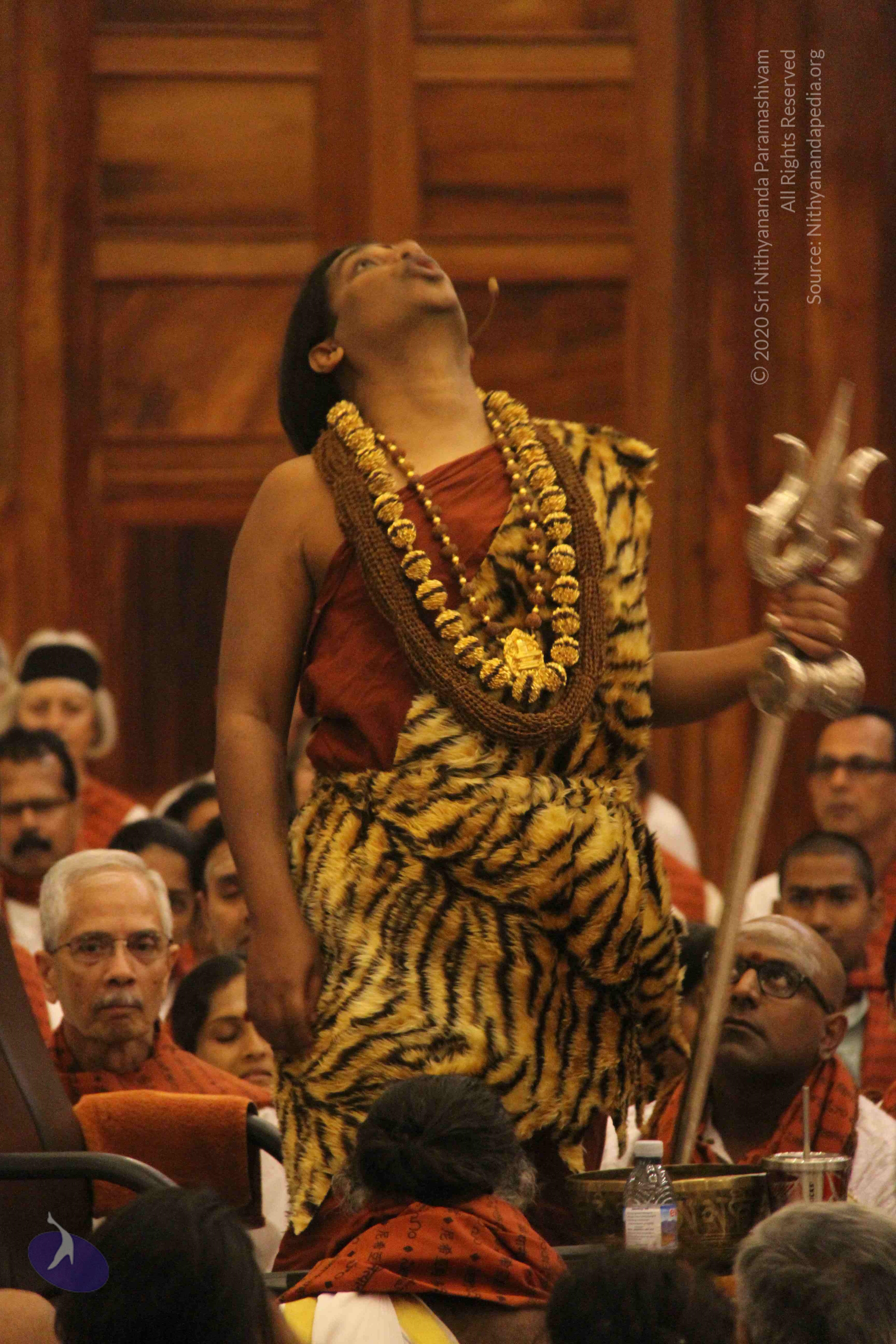 20141214_Photo_1159_IMG_4149_CMP_WM