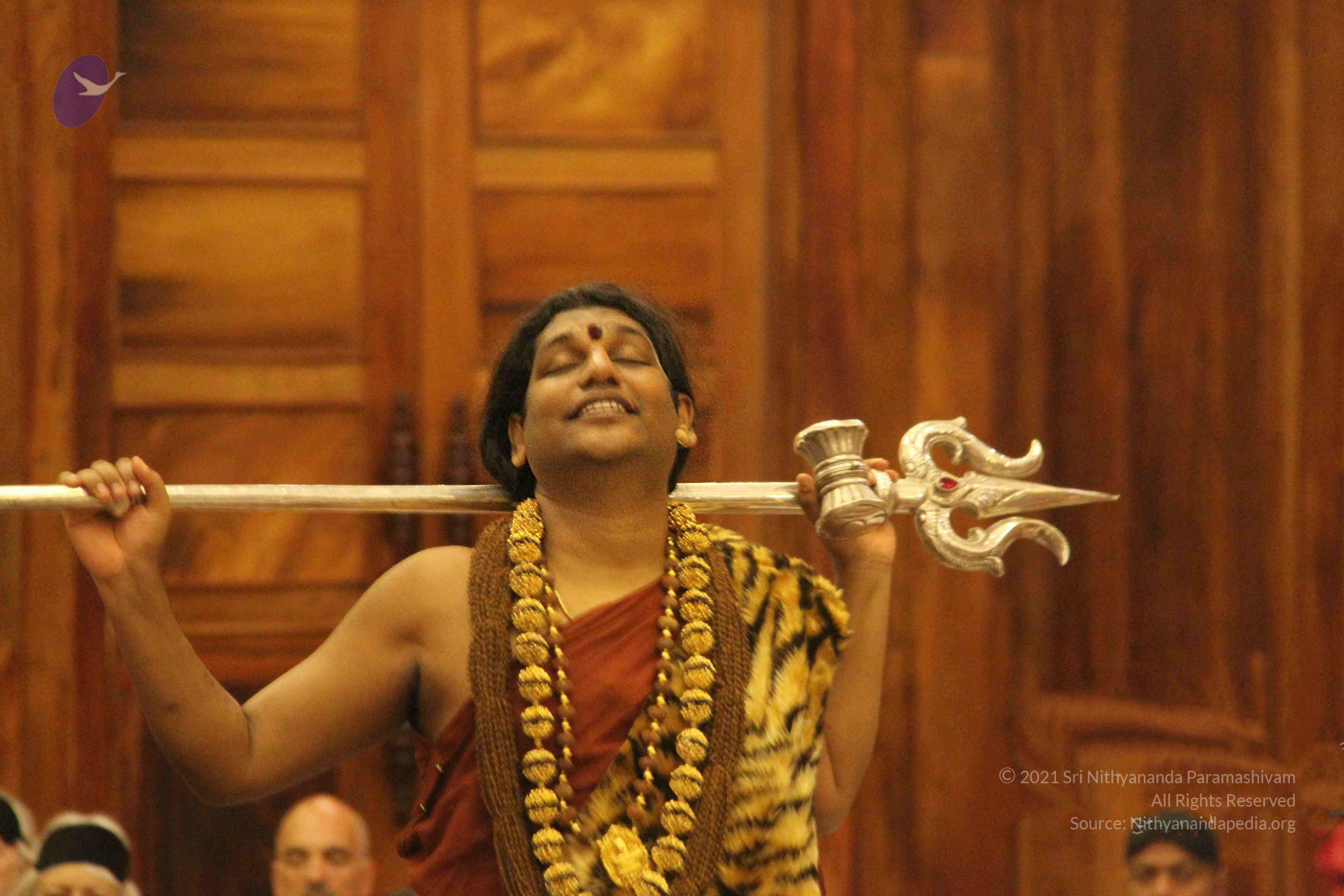 20141214_Photo_1160_IMG_4181_CMP_WM