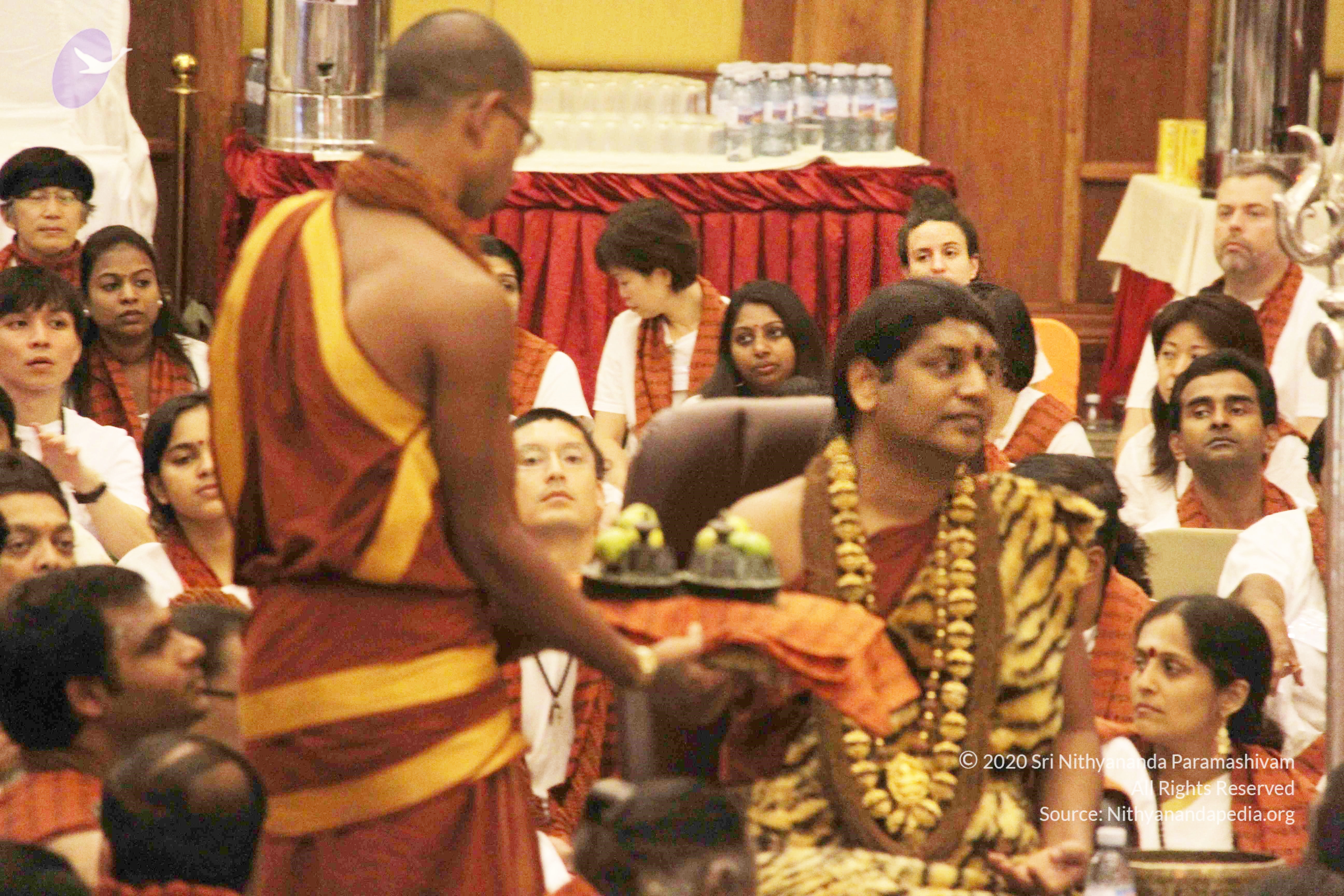 20141214_Photo_1161_IMG_4095_CMP_WM