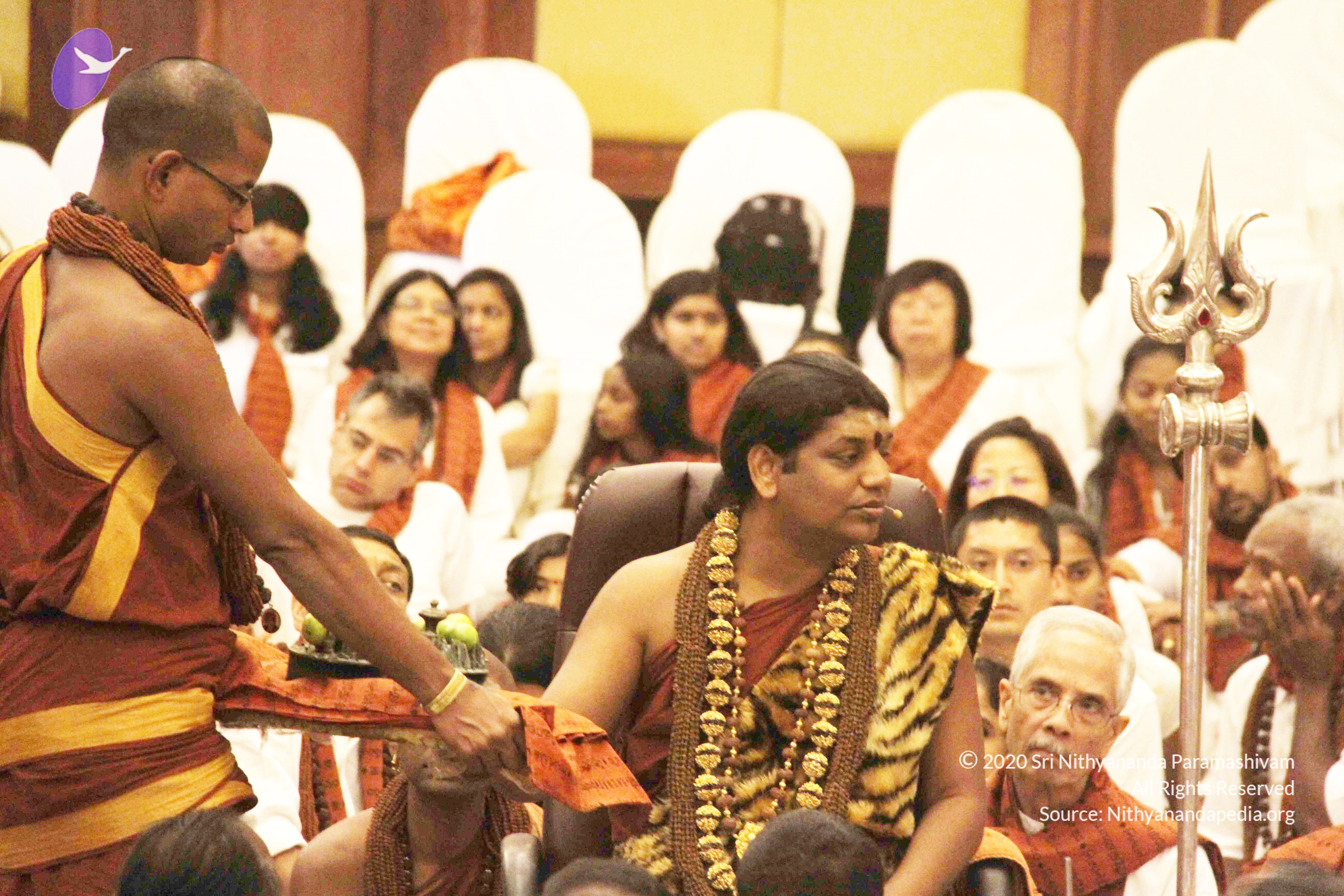 20141214_Photo_1172_IMG_4098_CMP_WM