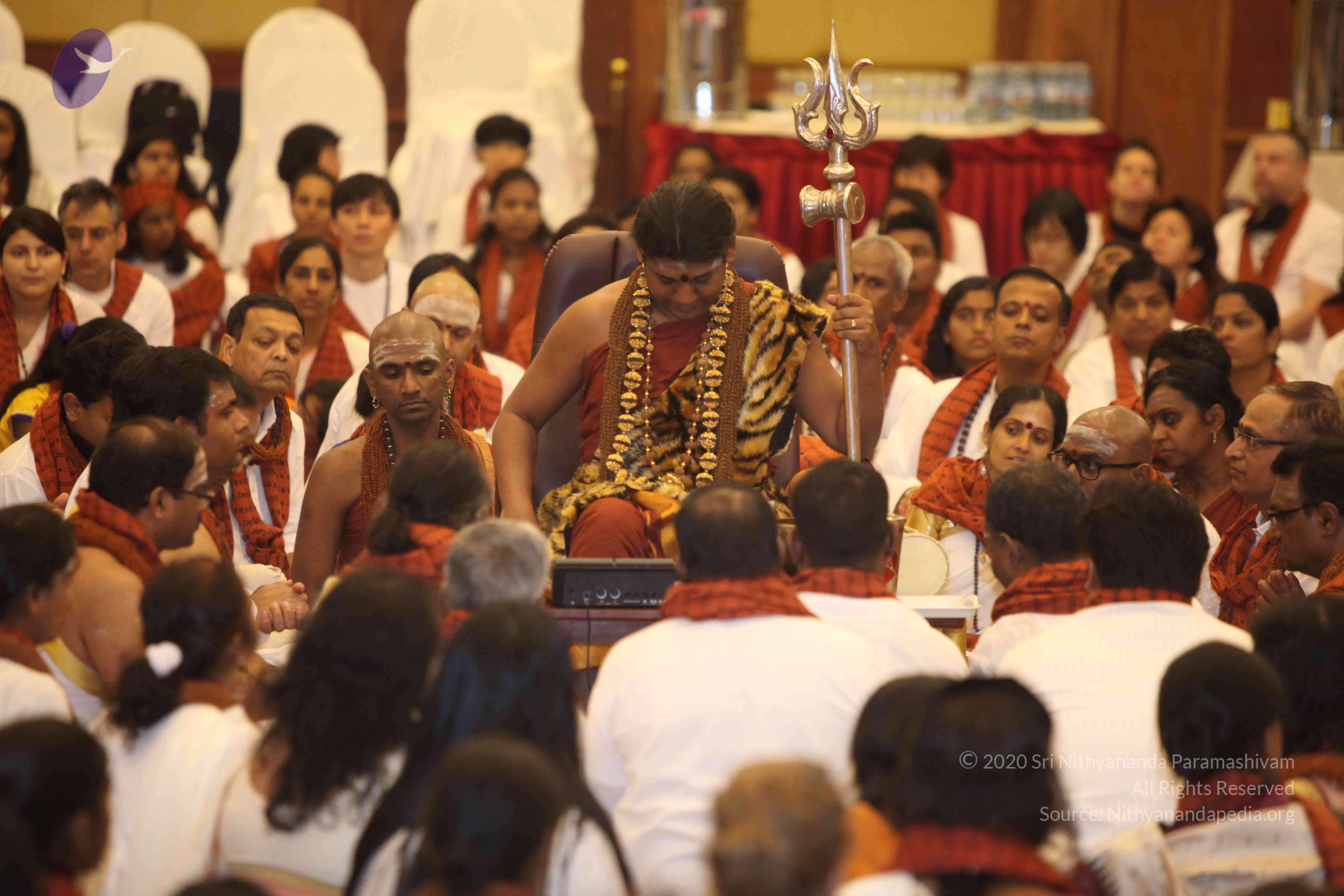 20141214_Photo_1174_IMG_4106a_CMP_WM