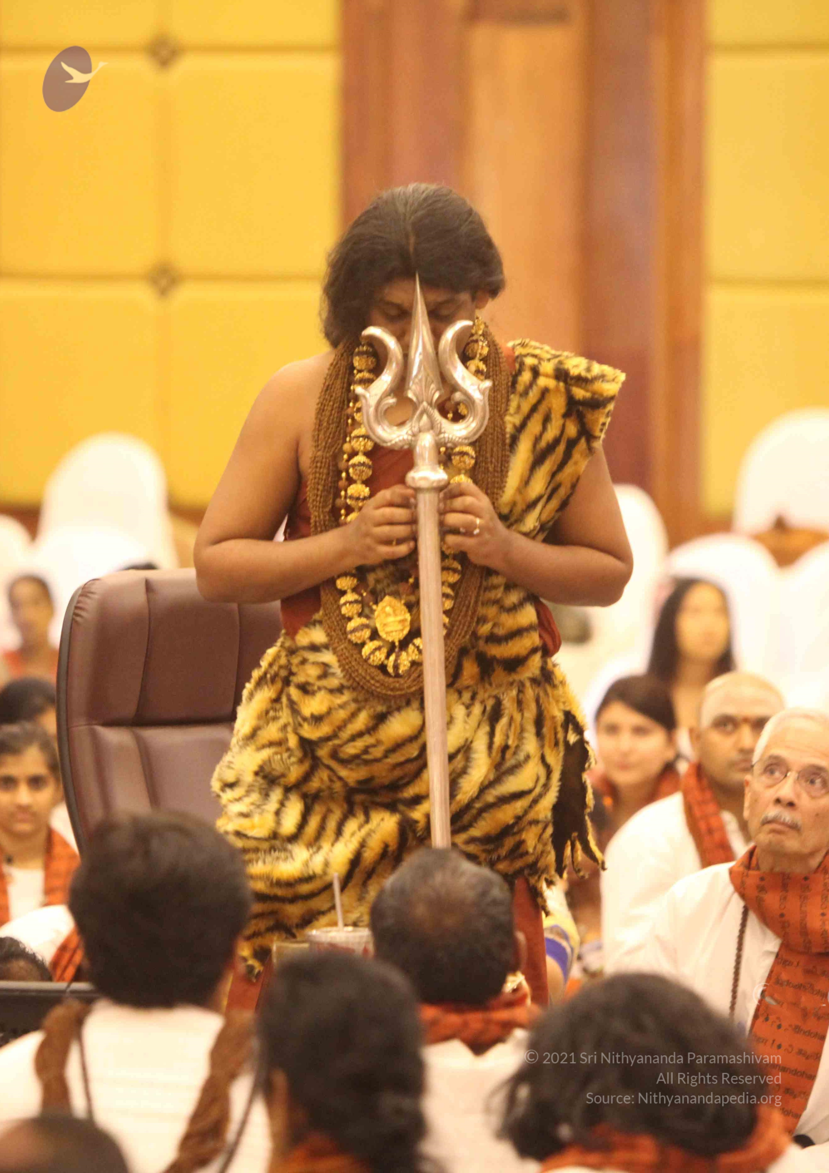 20141214_Photo_1175_IMG_4242x_CMP_WM