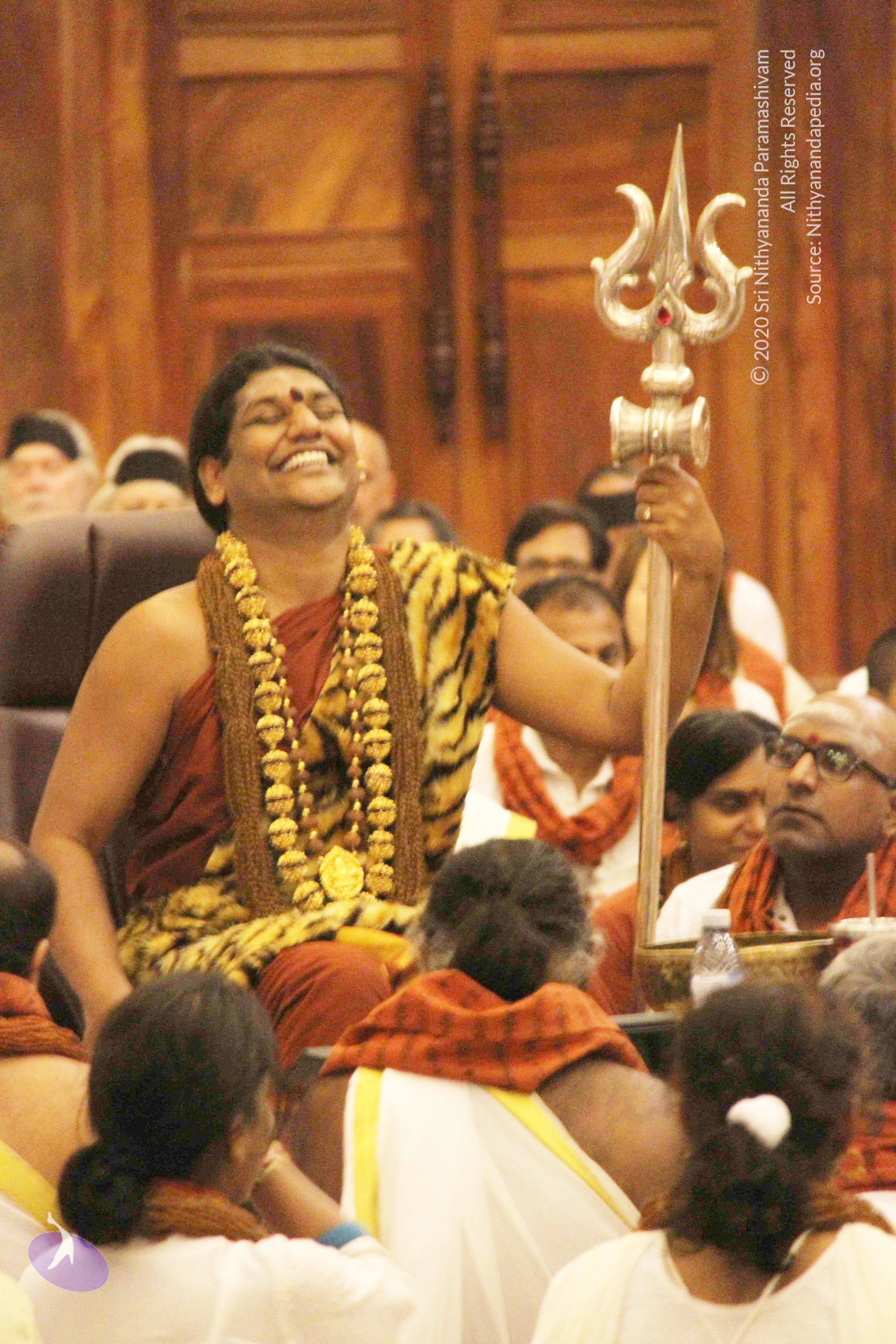 20141214_Photo_1182_IMG_4121_CMP_WM