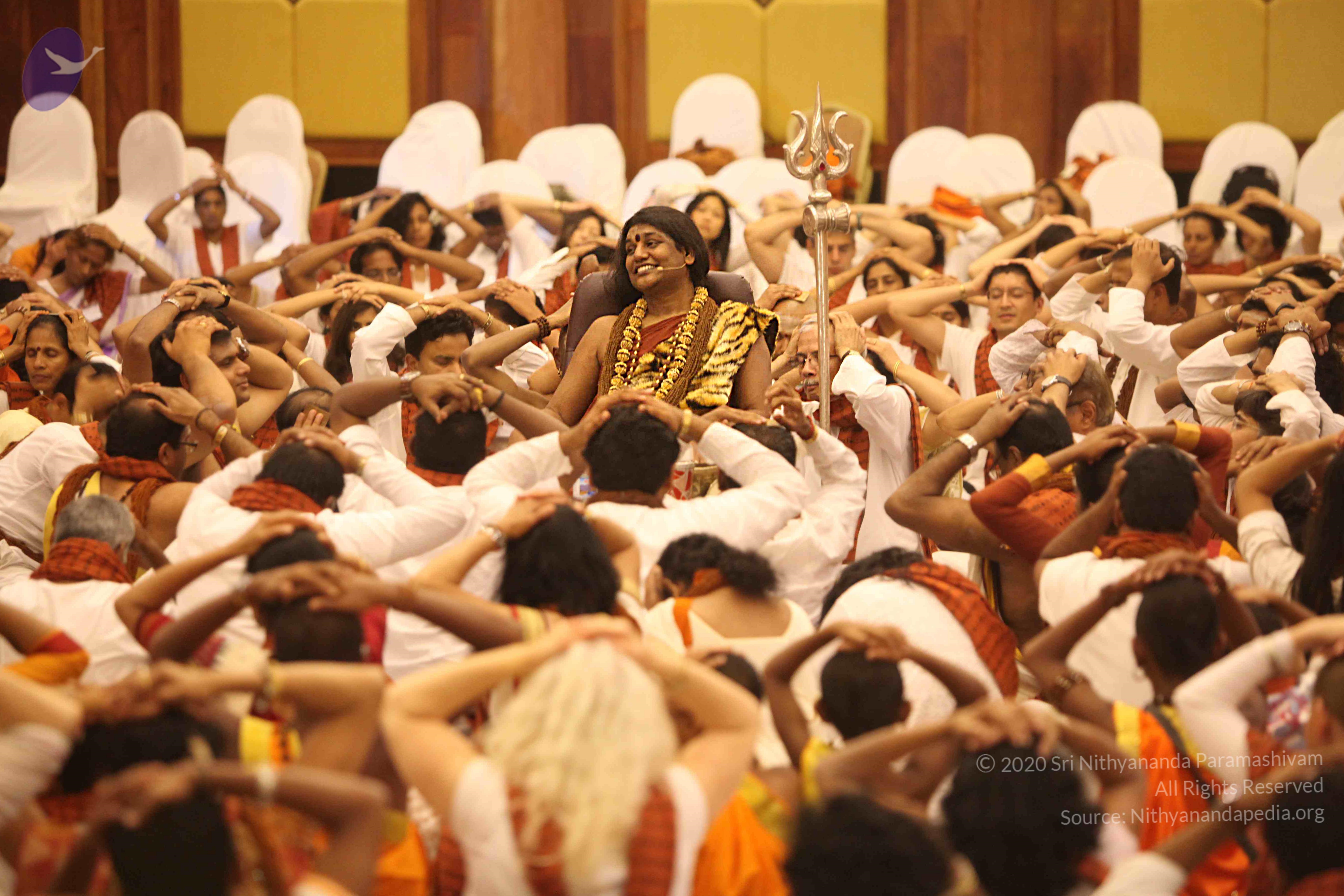 20141214_Photo_1200_IMG_4591_CMP_WM