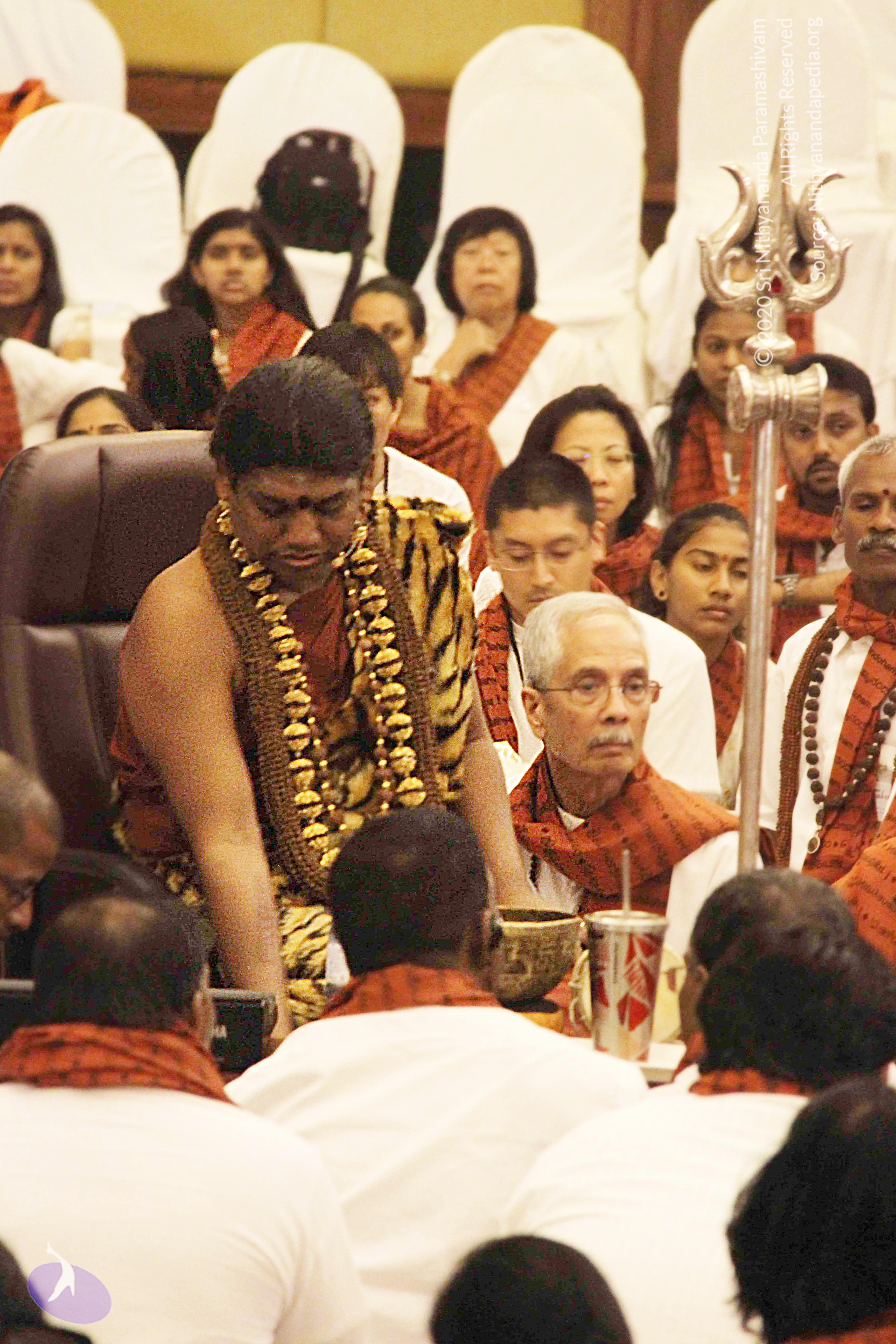 20141214_Photo_1216_IMG_4102_CMP_WM