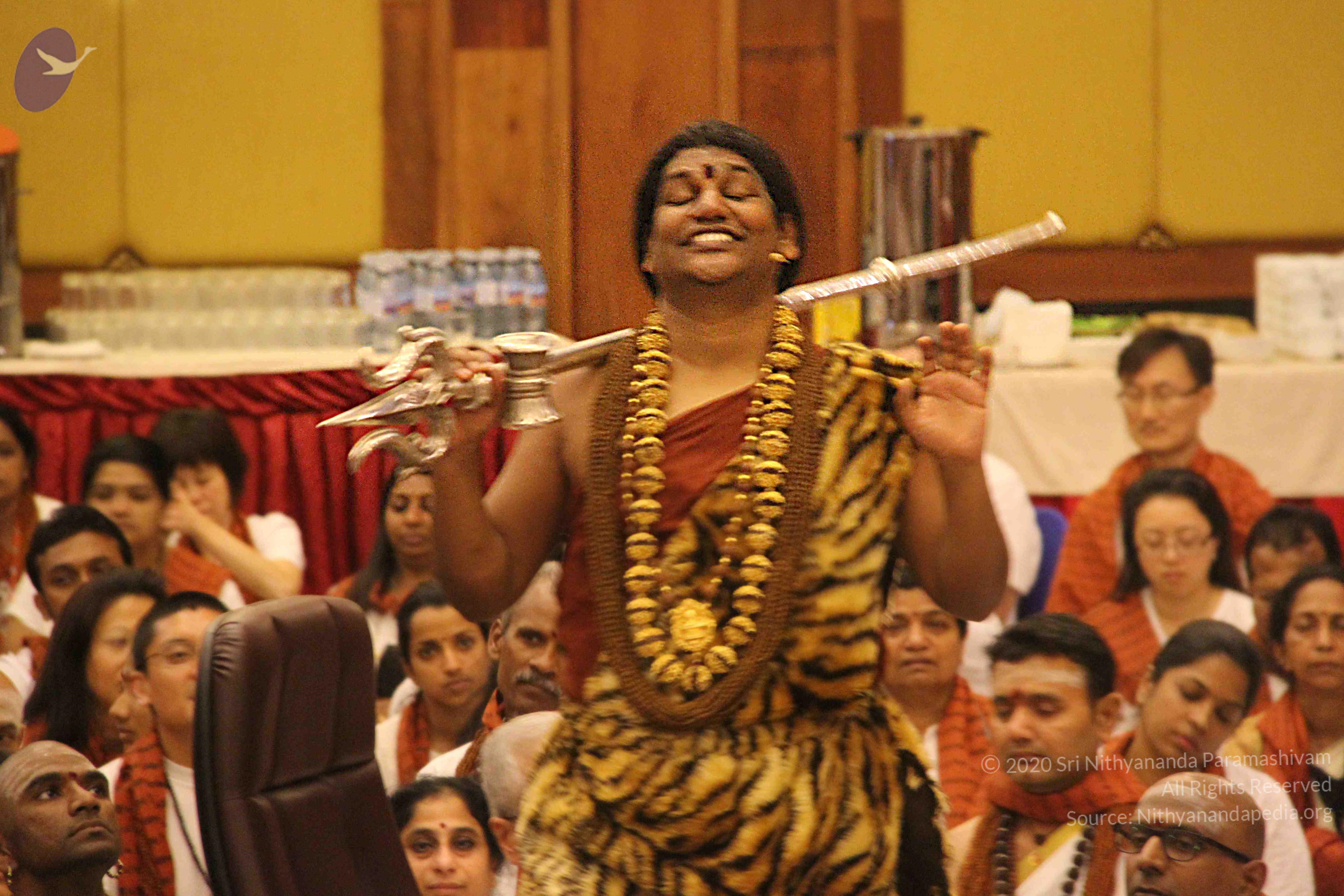 20141214_Photo_1221_IMG_4209_CMP_WM