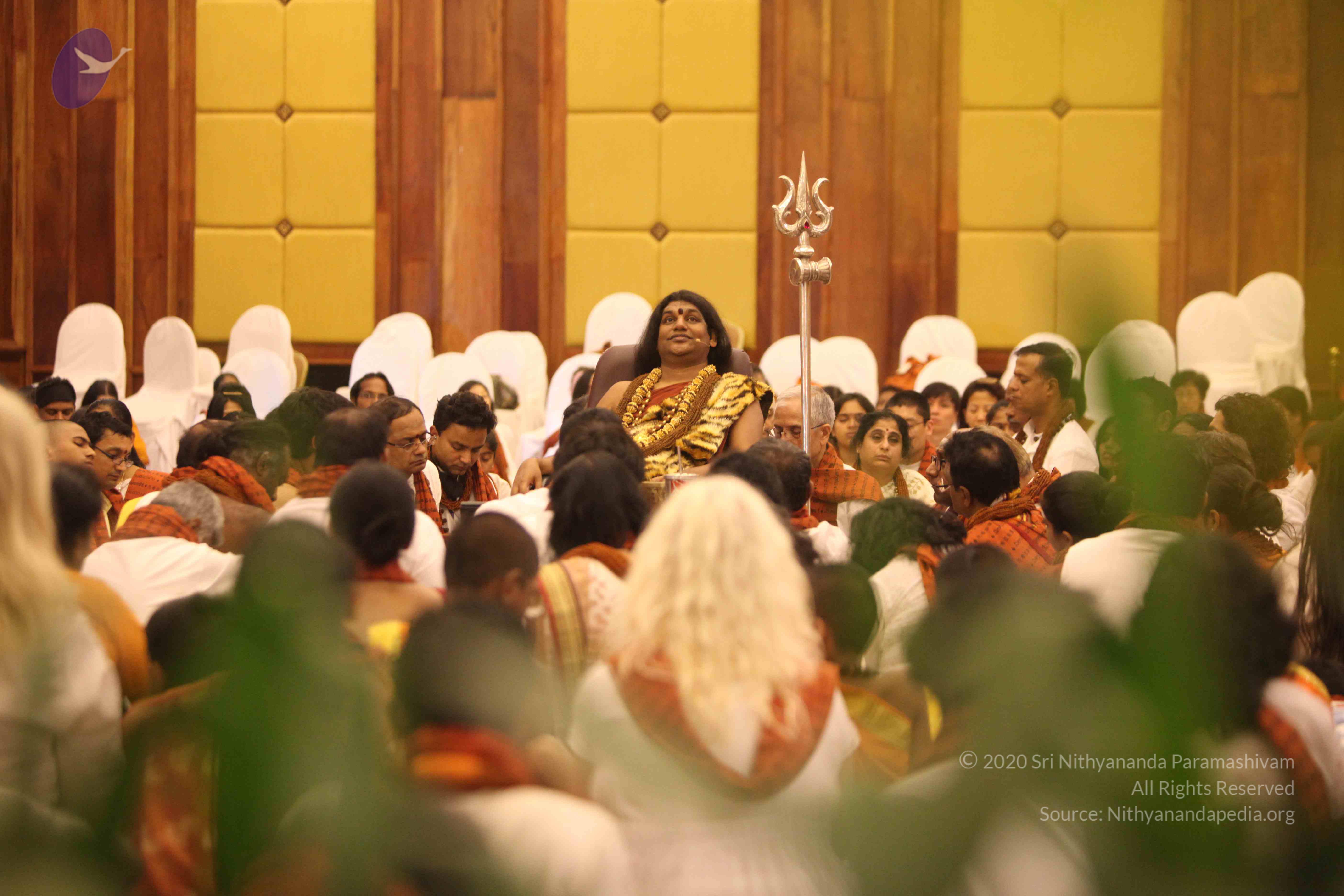 20141214_Photo_1222_IMG_4594_CMP_WM