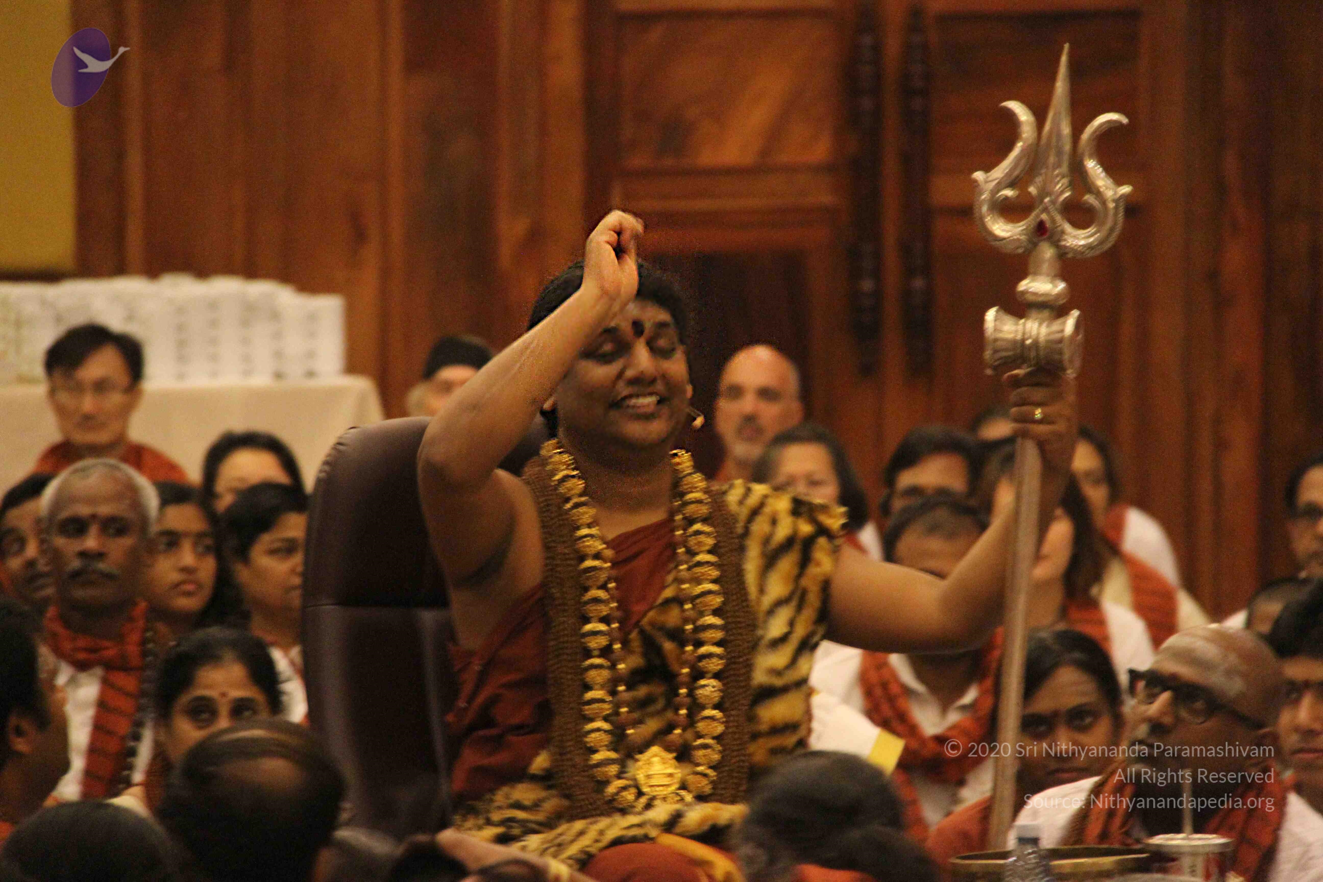 20141214_Photo_1239_IMG_4138_CMP_WM