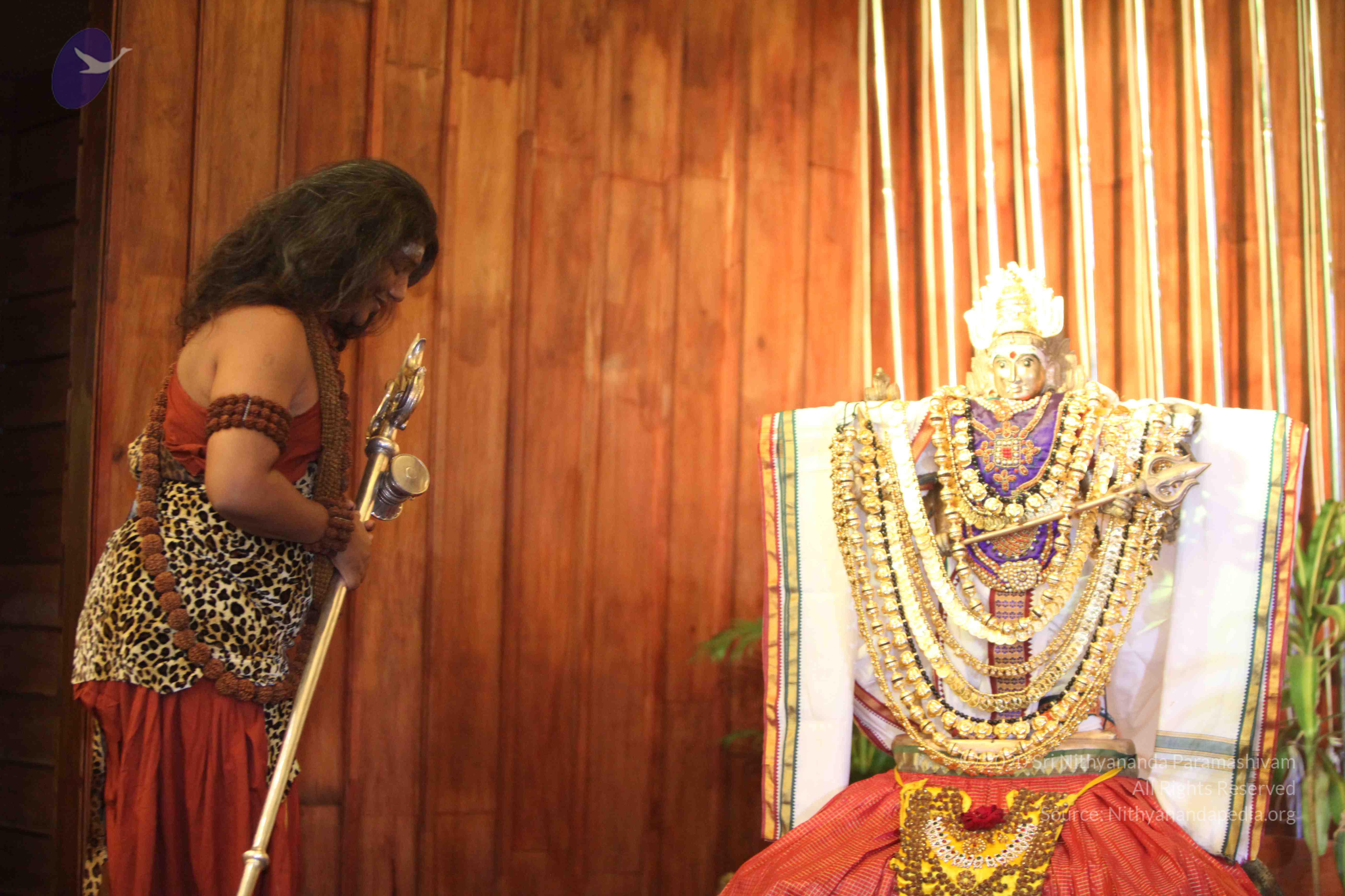 20141214_Photo_1051_IMG_4843_CMP_WM