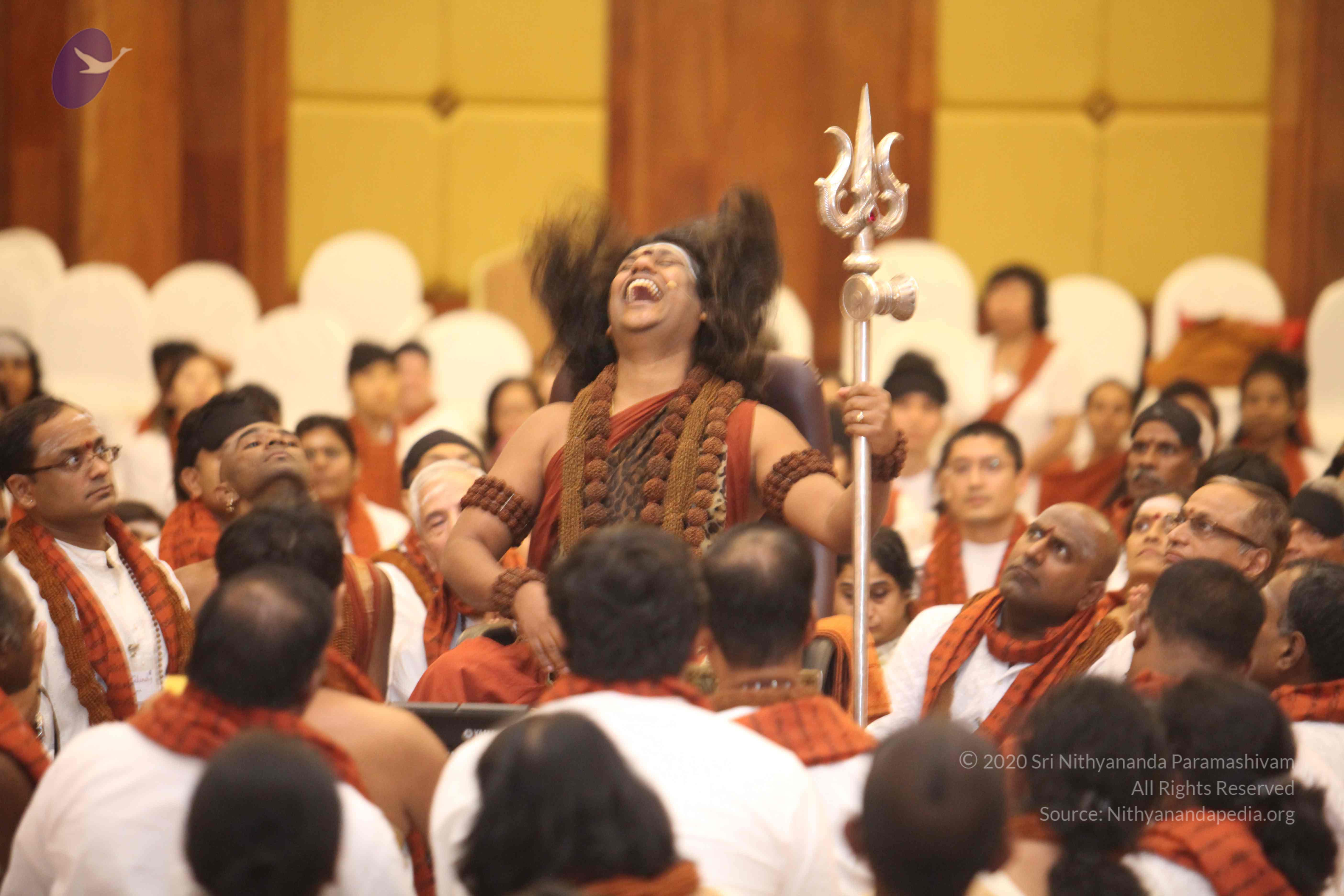 20141214_Photo_1068_IMG_4776_CMP_WM