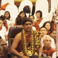 20141214_Photo_1003_IMG_4101_CMP_WM