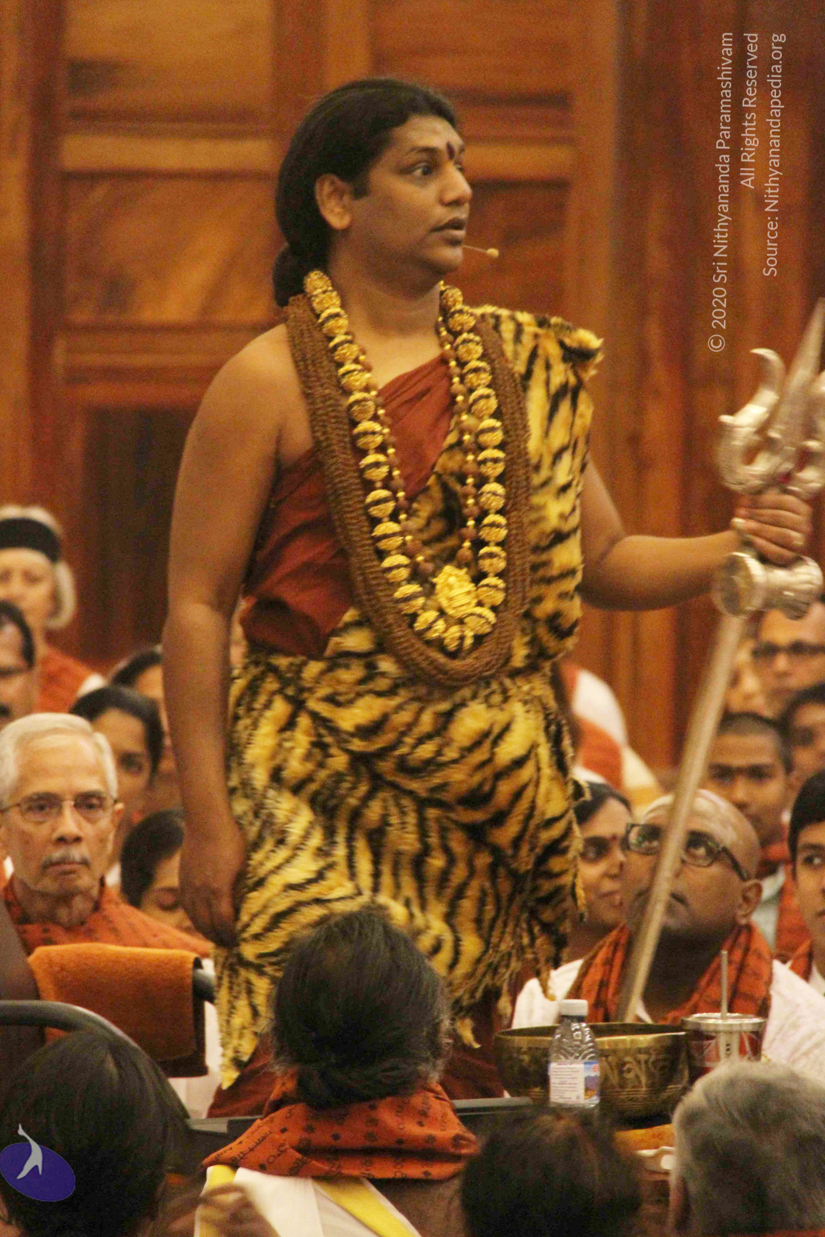 20141214_Photo_1006_IMG_4154_CMP_WM