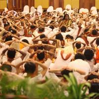 20141214_Photo_1120_IMG_4590_CMP_WM