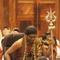 20141214_Photo_1126_IMG_4108_CMP_WM