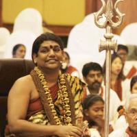 20141214_Photo_1143_IMG_4090_CMP_WM