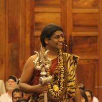 20141214_Photo_1168_IMG_4206_CMP_WM