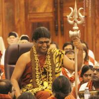 20141214_Photo_1183_IMG_4116_CMP_WM