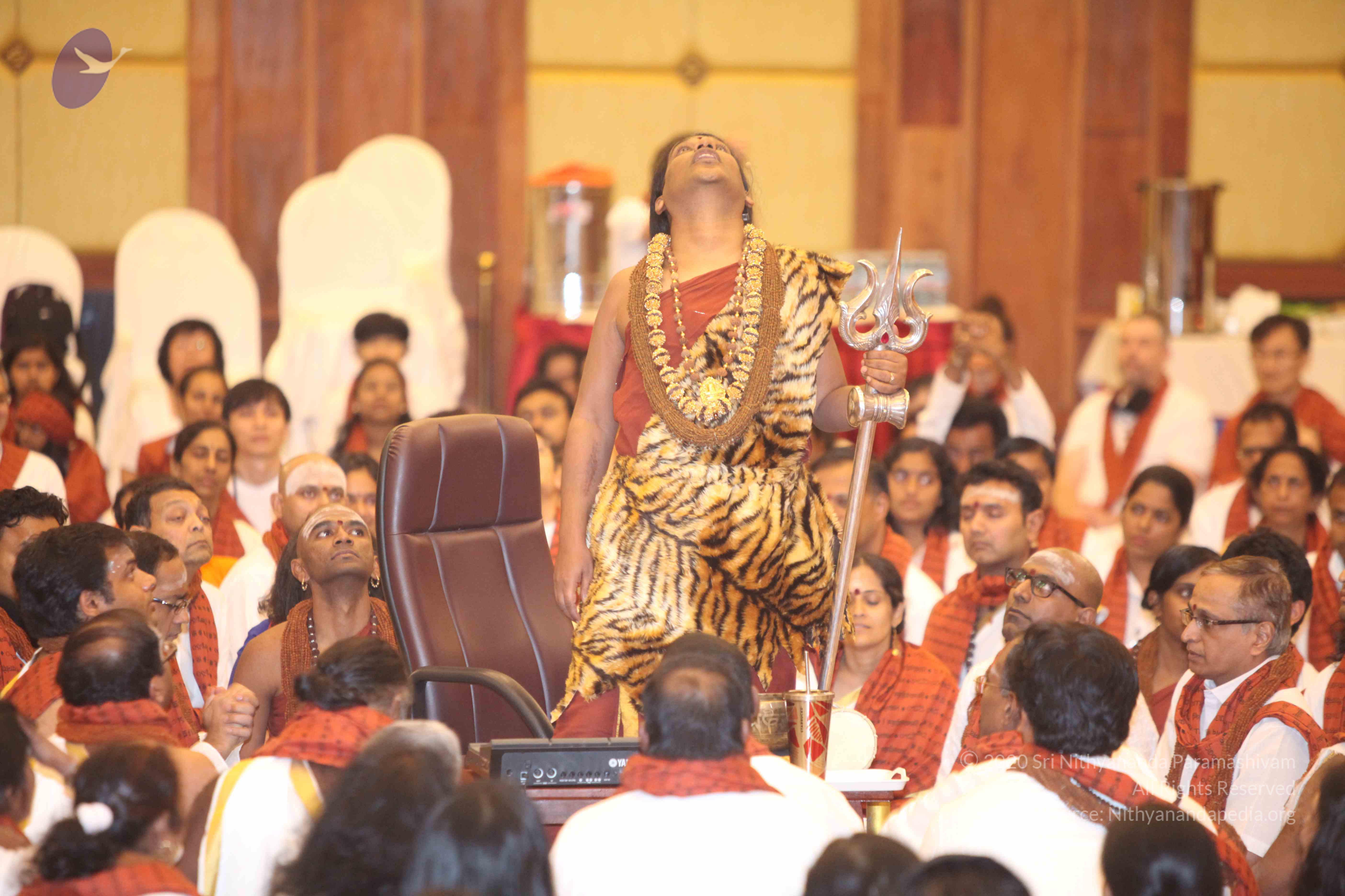 20141214_Photo_1186_IMG_4149b_CMP_WM