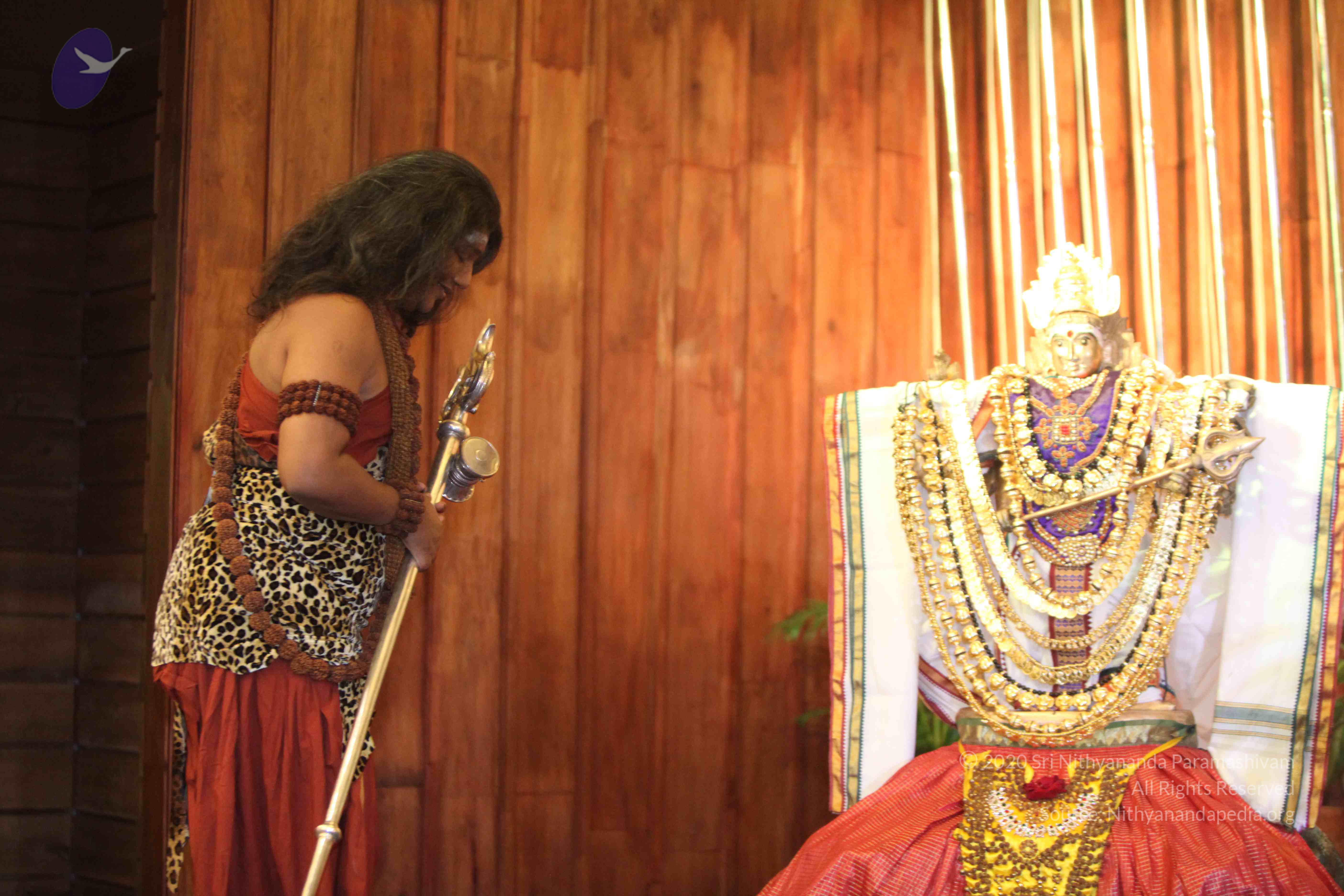 20141214_Photo_1004_IMG_4844_CMP_WM